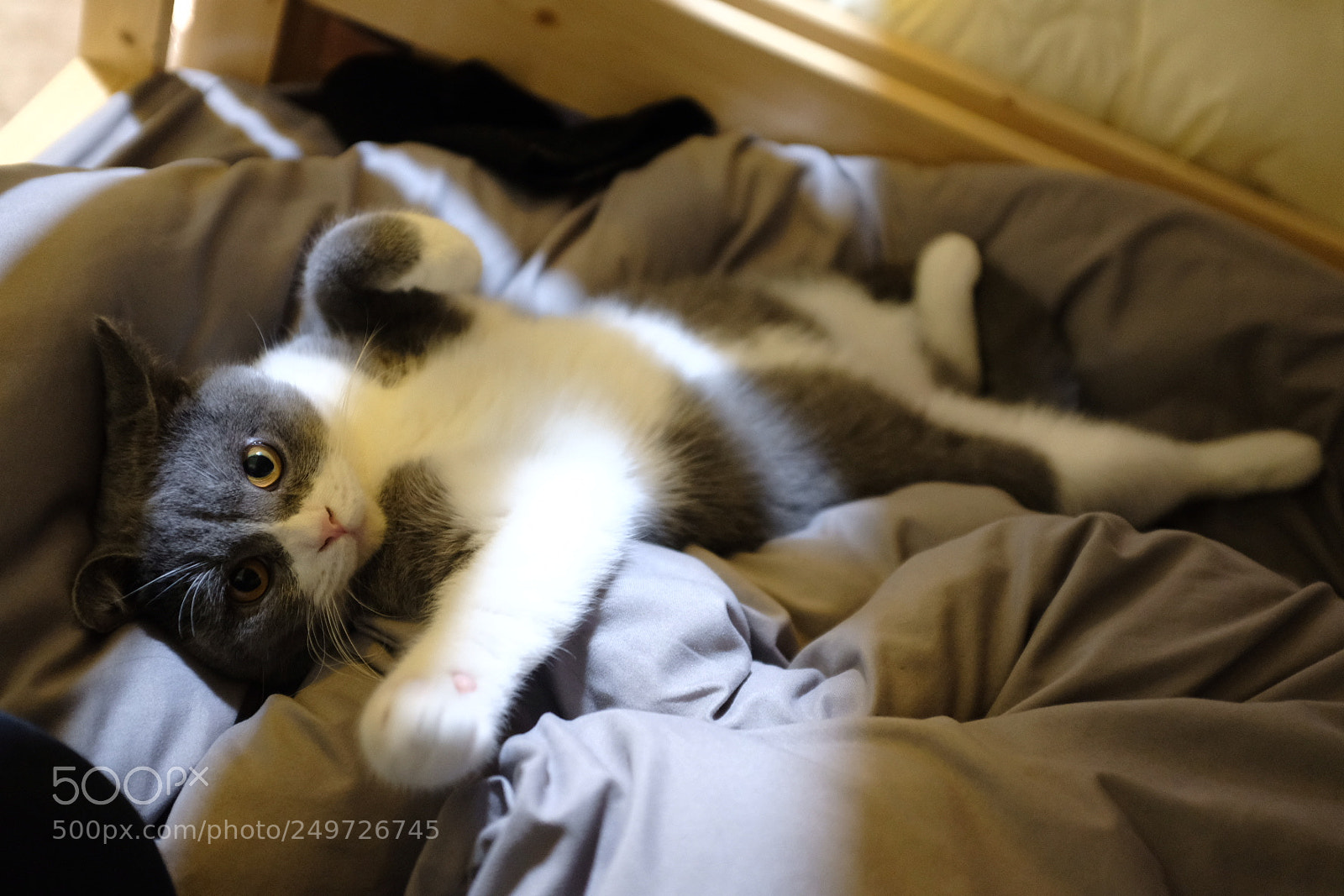 Fujifilm X100F sample photo. Untitled photography