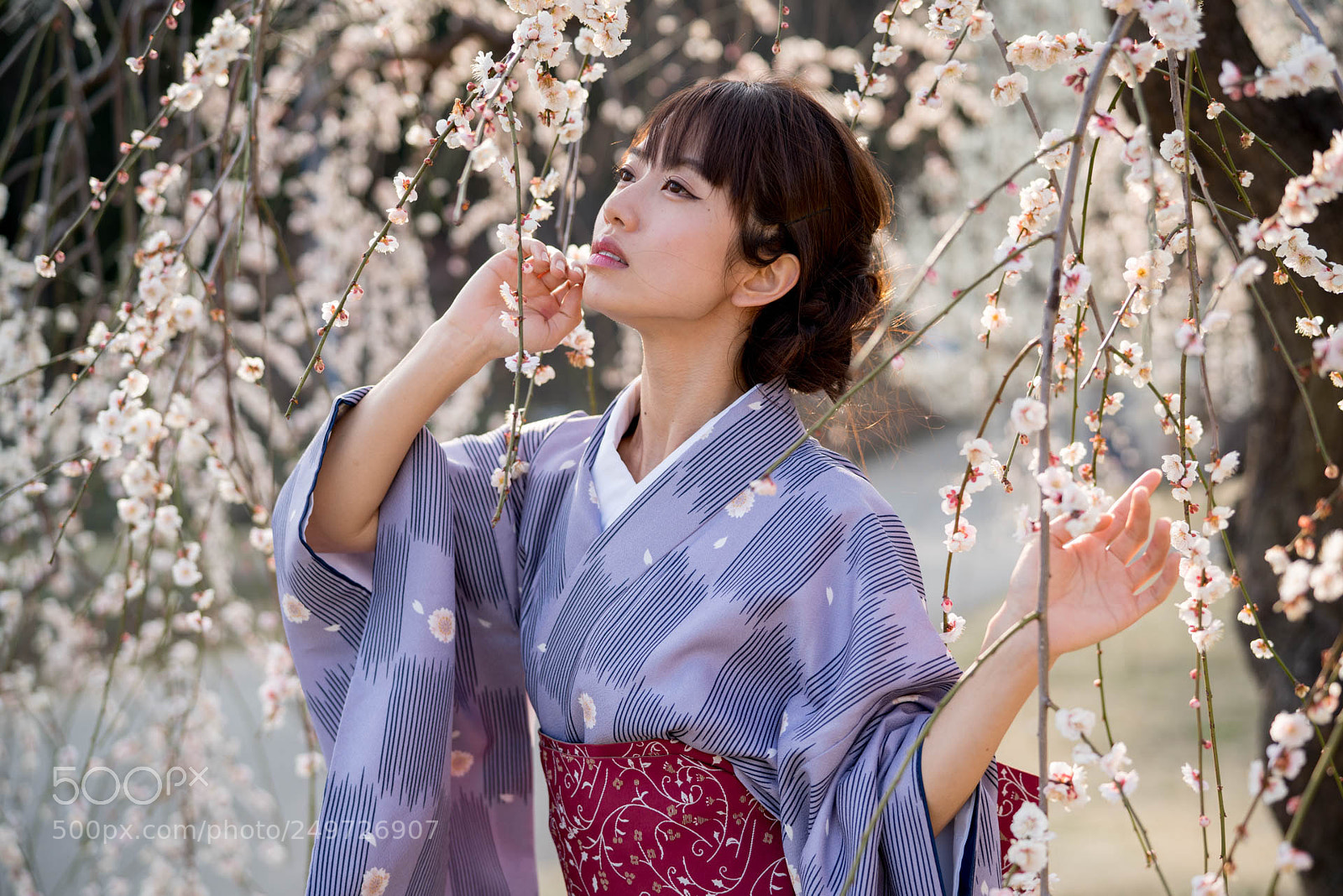 Sony a7R III sample photo. 20180318-1 photography