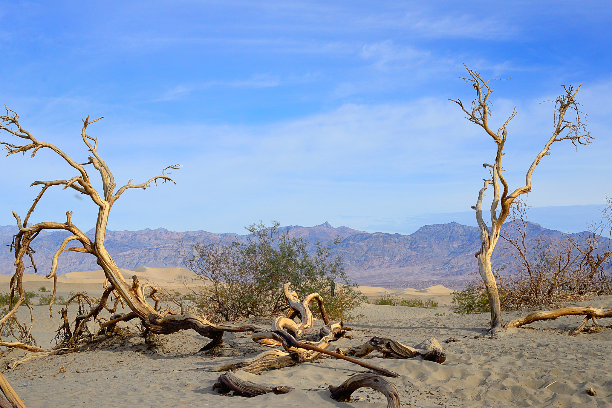 Nikon D600 + Nikon AF-S Nikkor 50mm F1.8G sample photo. Deathvalley photography