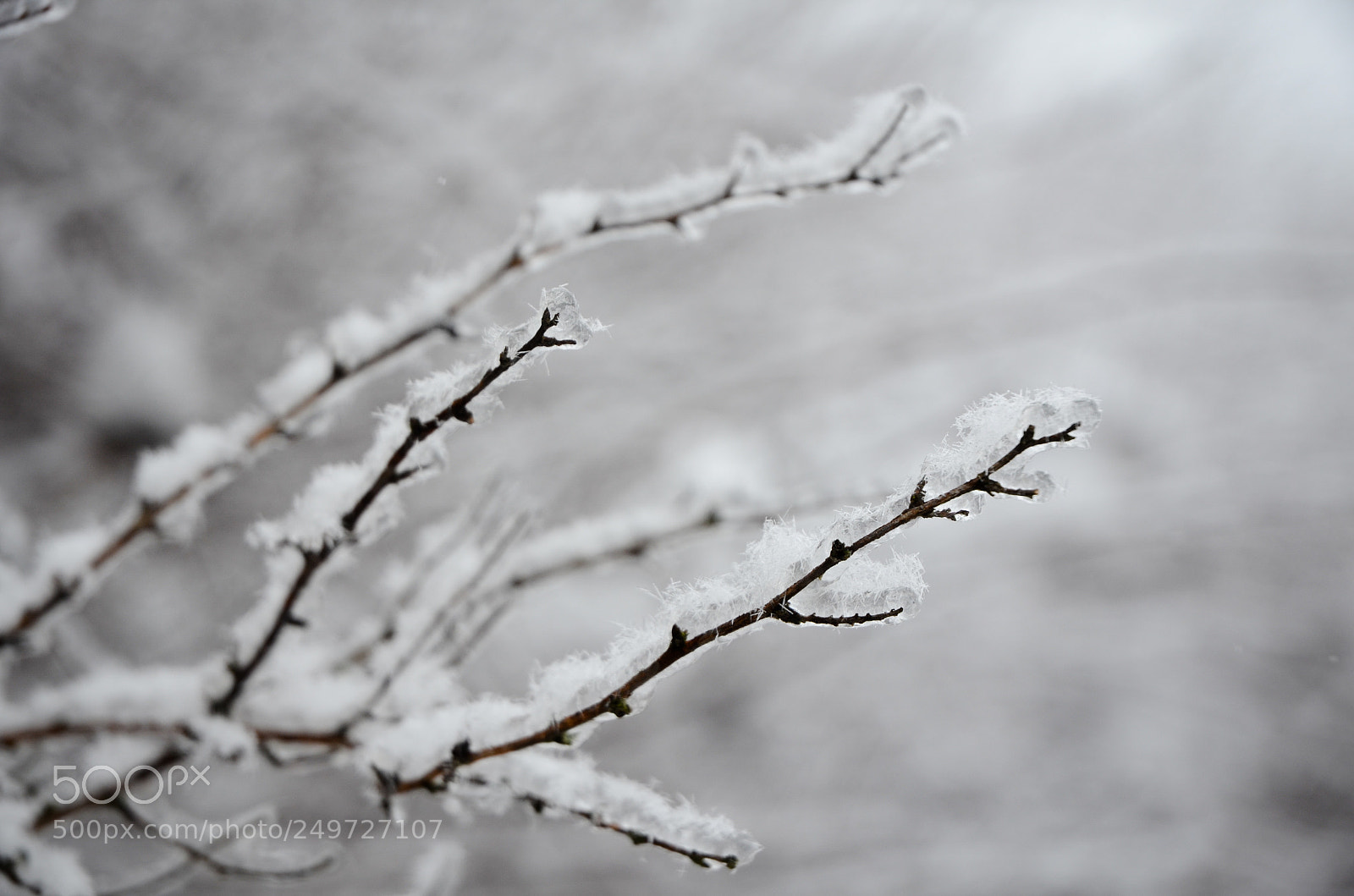 Nikon D5100 sample photo. Winter photography
