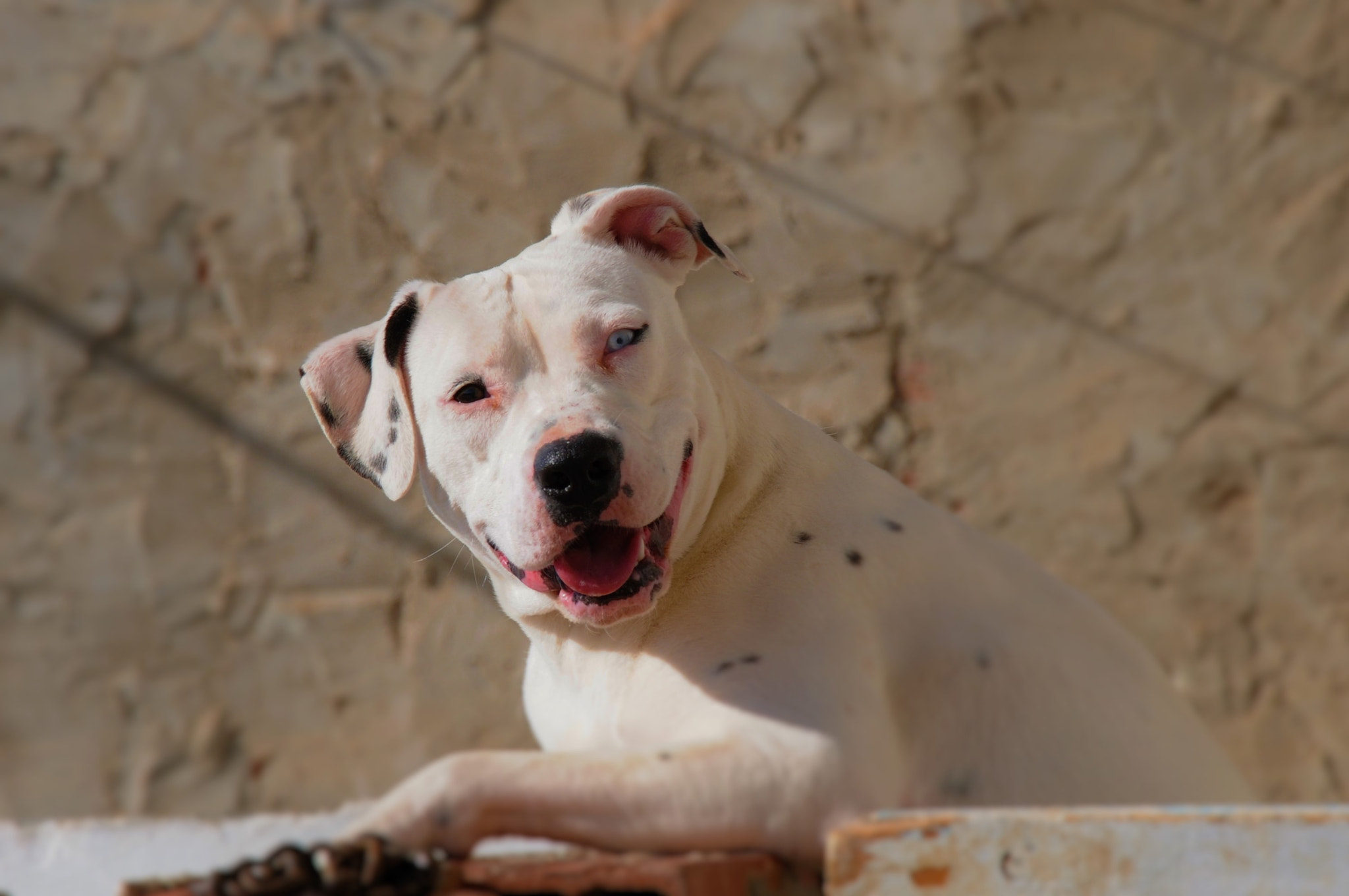 Nikon D300S sample photo. Iska photography