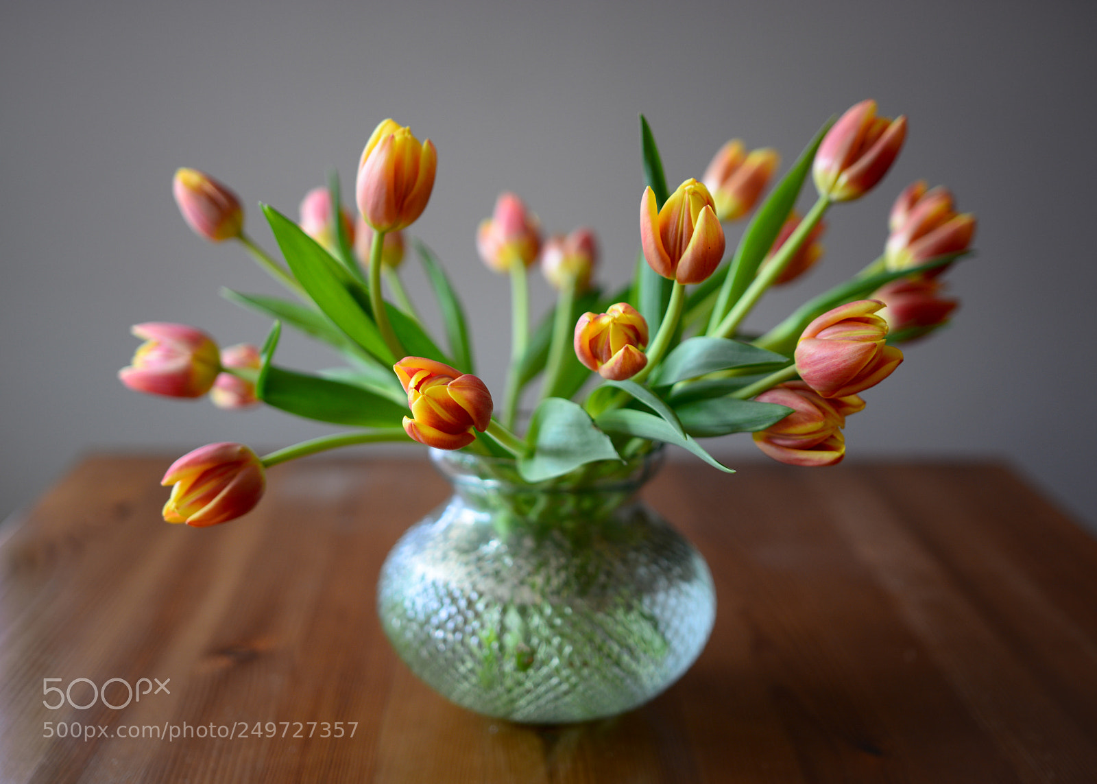 Nikon D7100 sample photo. Mdj photography