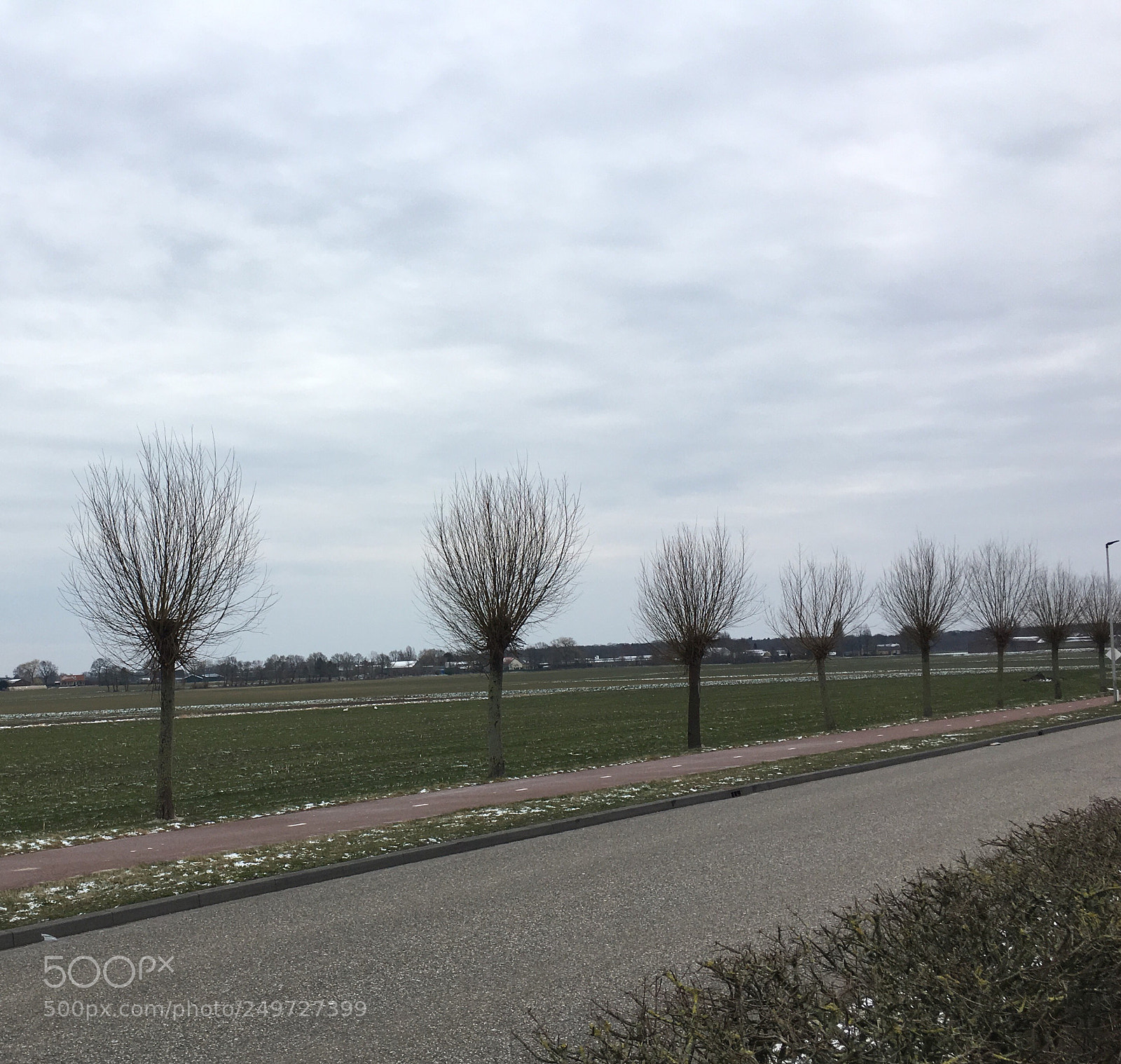 Apple iPhone 6s sample photo. Triviumtrees photography