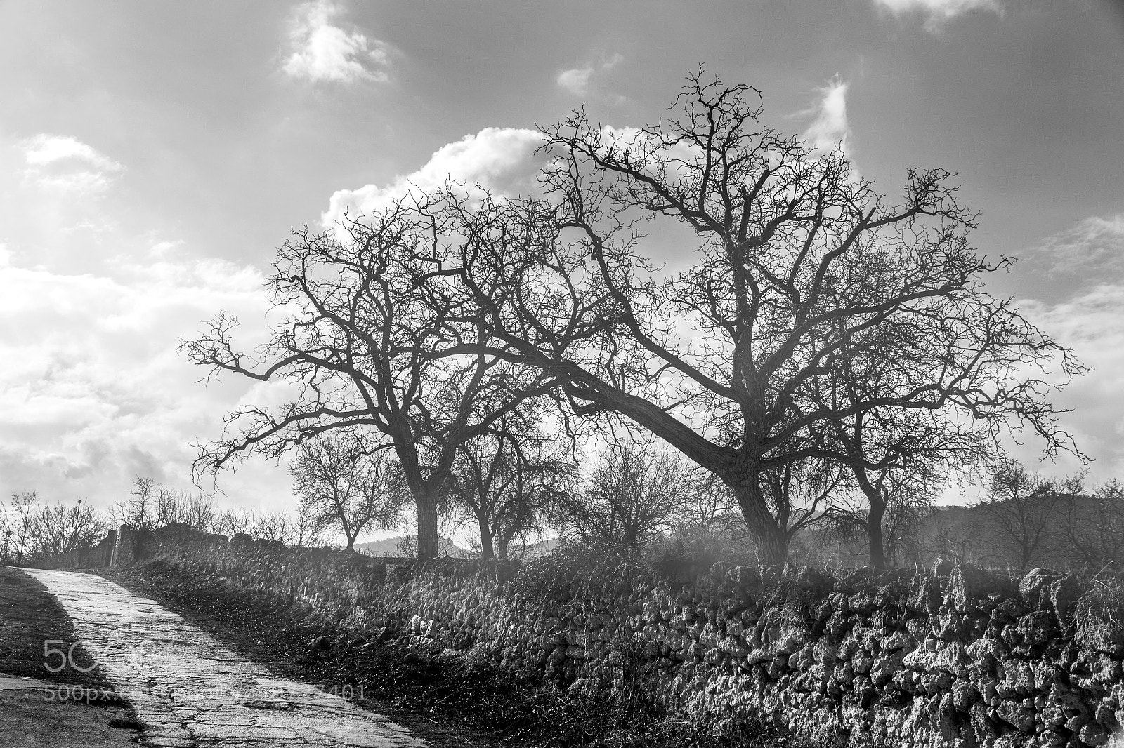 Canon EOS 550D (EOS Rebel T2i / EOS Kiss X4) sample photo. Por la mañana photography