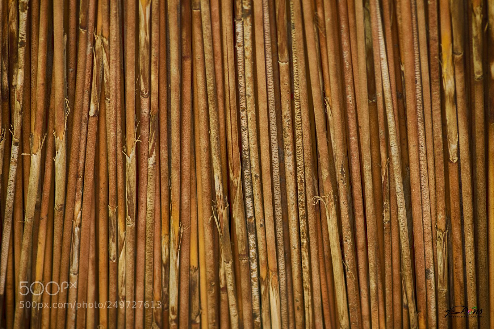 Canon EOS 80D sample photo. Texture photography