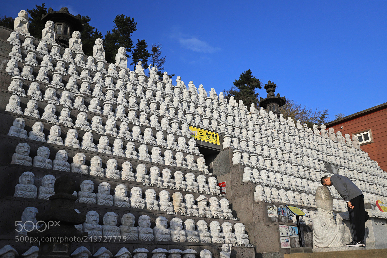 Canon EOS 6D Mark II sample photo. One` dearest wish photography