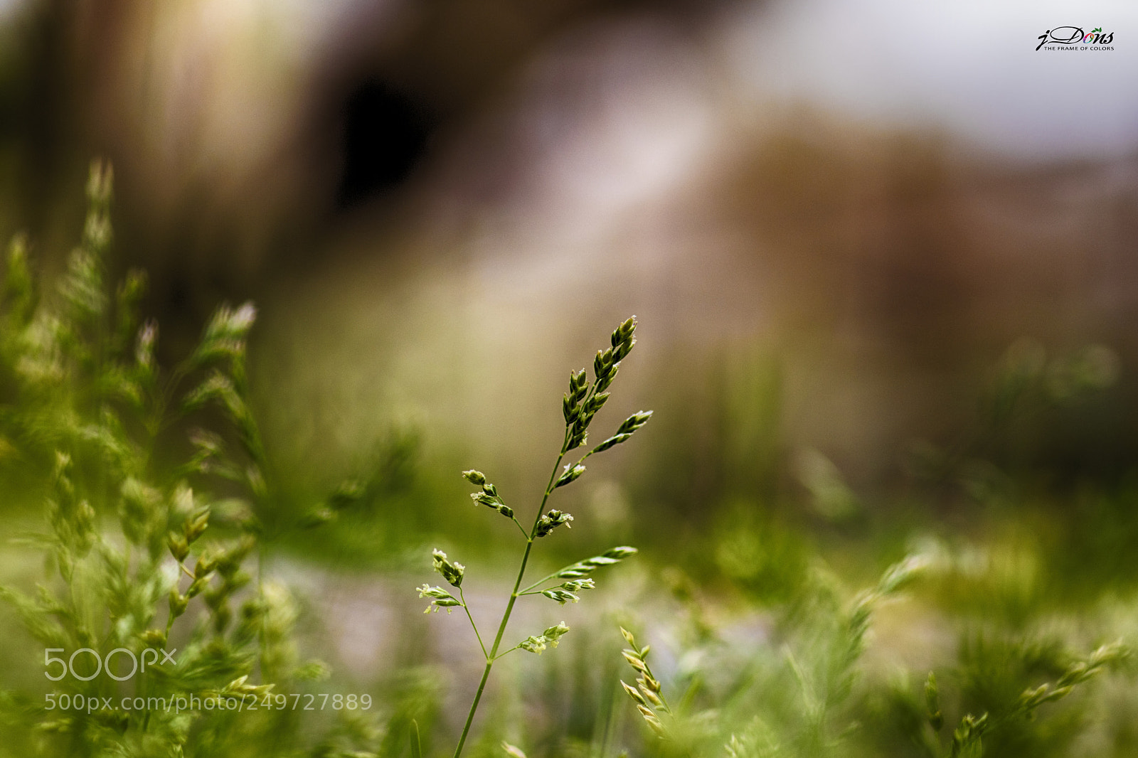 Canon EOS 80D sample photo. Beauty of nature photography
