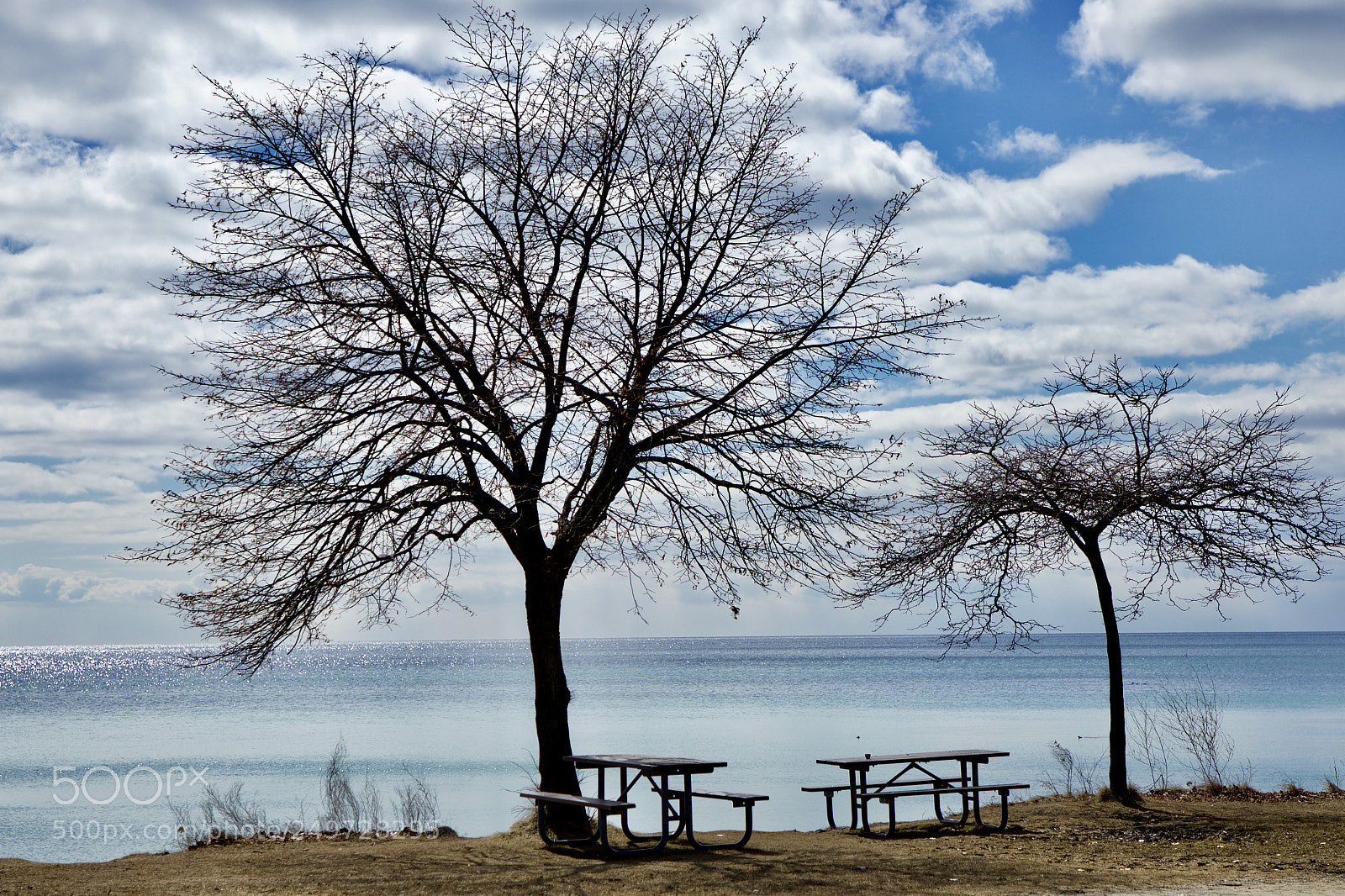 Canon EOS 5D Mark IV sample photo. Sitting by the lake photography