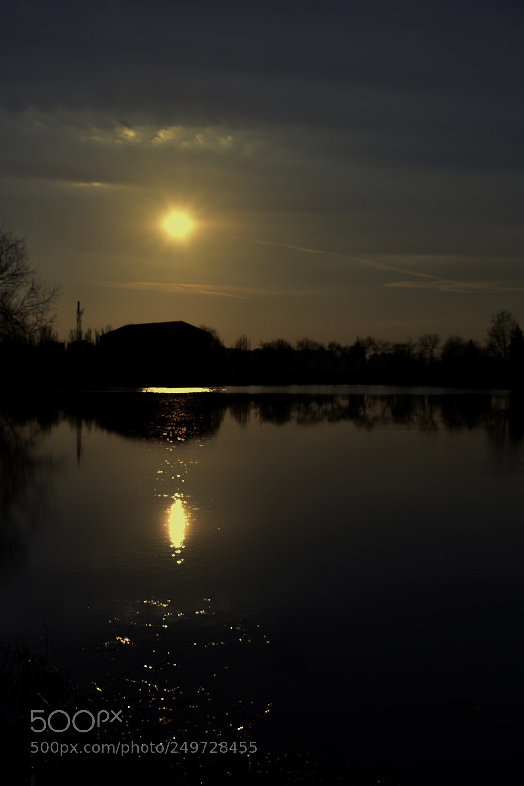 Nikon D3400 sample photo. Golden time photography