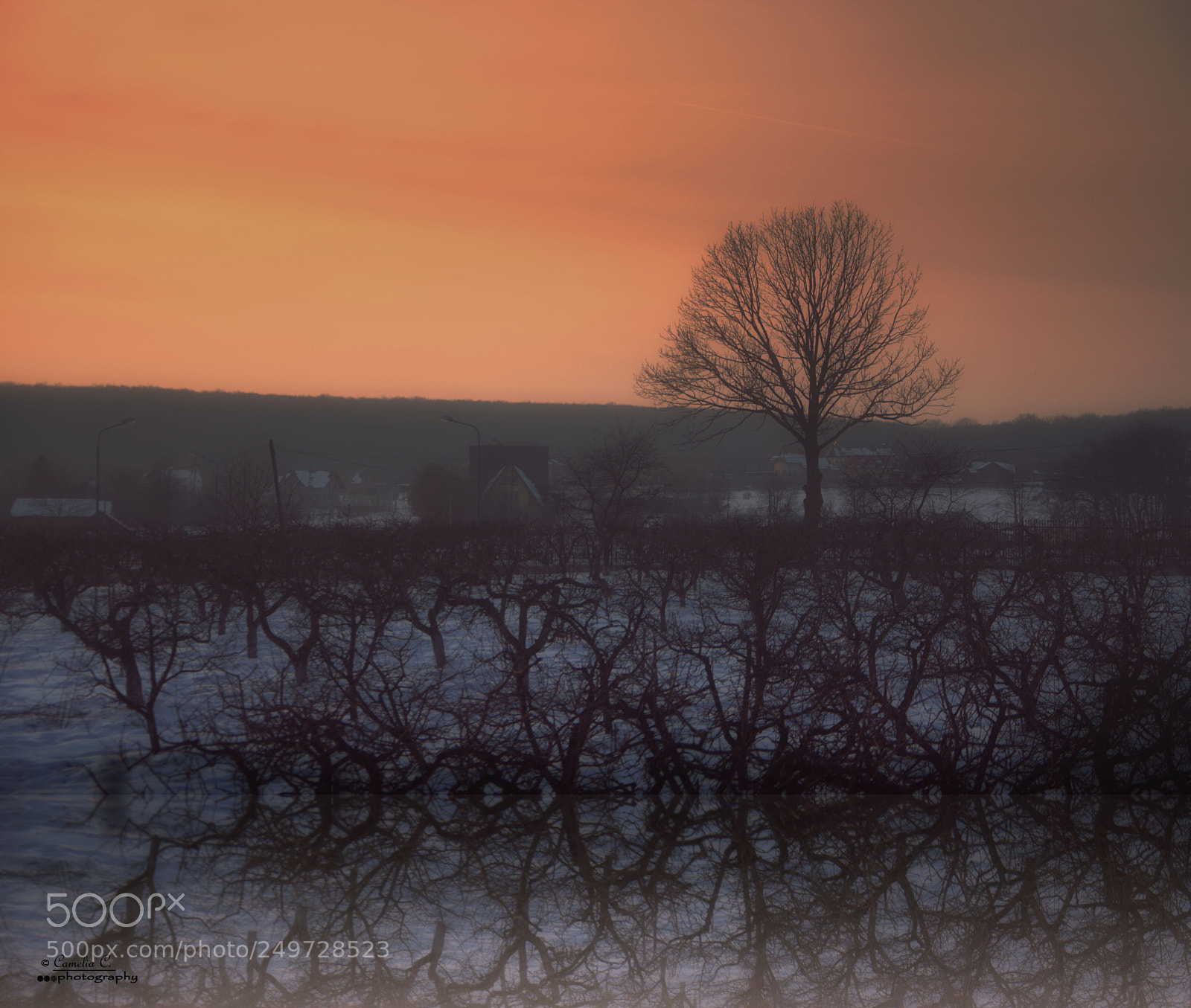 Nikon D5300 sample photo. Landscape photography