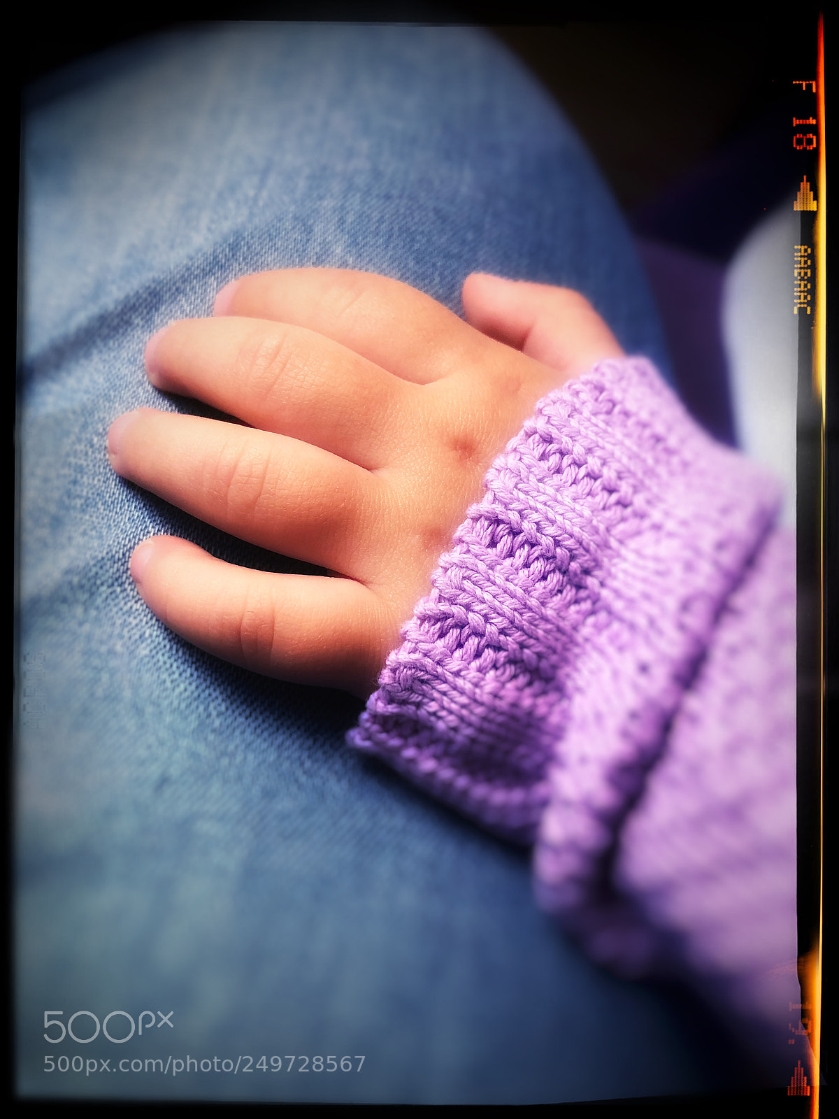 Apple iPhone 8 sample photo. The hand that rocks photography