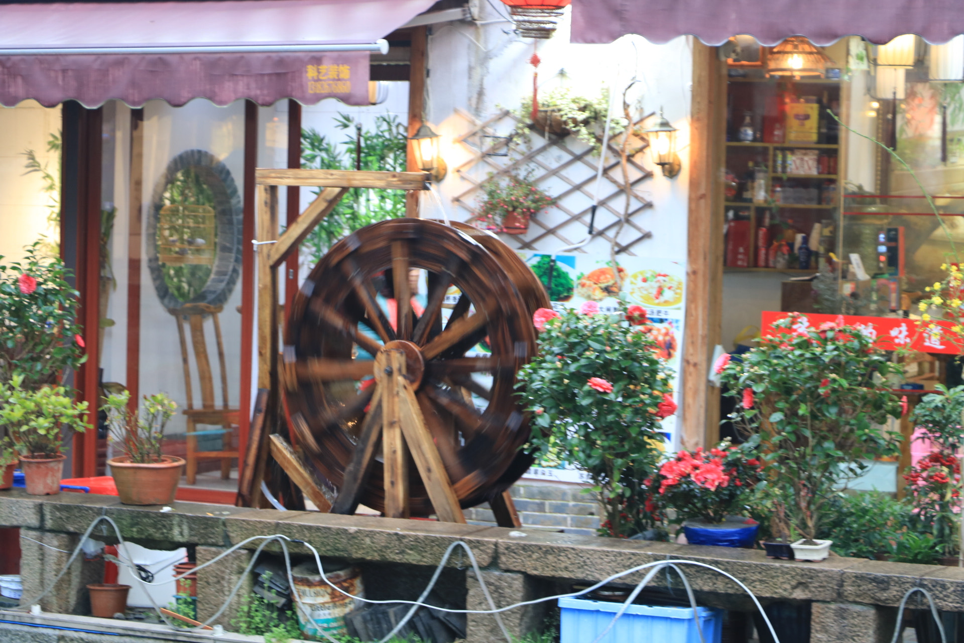 Canon EOS 750D (EOS Rebel T6i / EOS Kiss X8i) sample photo