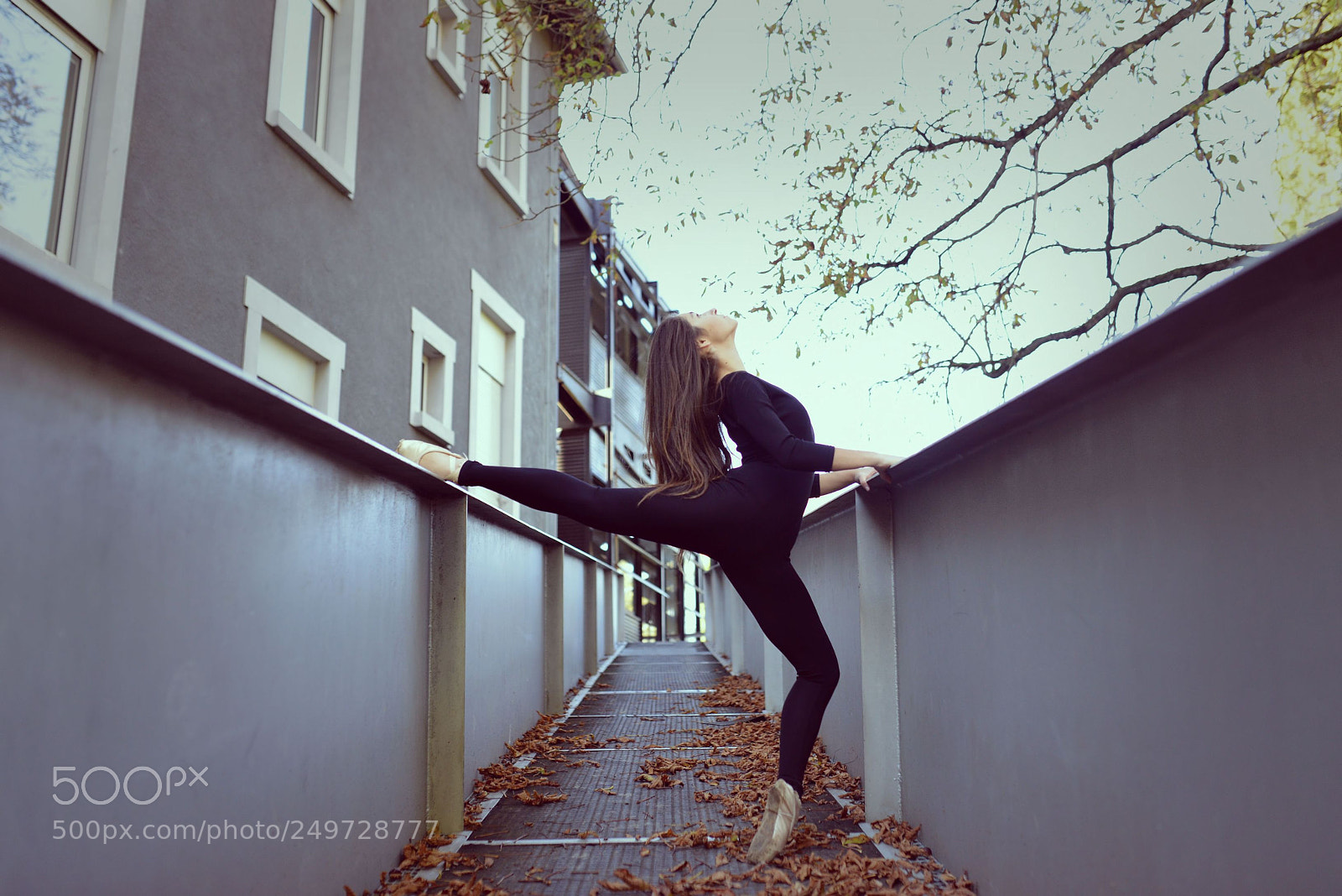 Nikon D800 sample photo. Joana photography