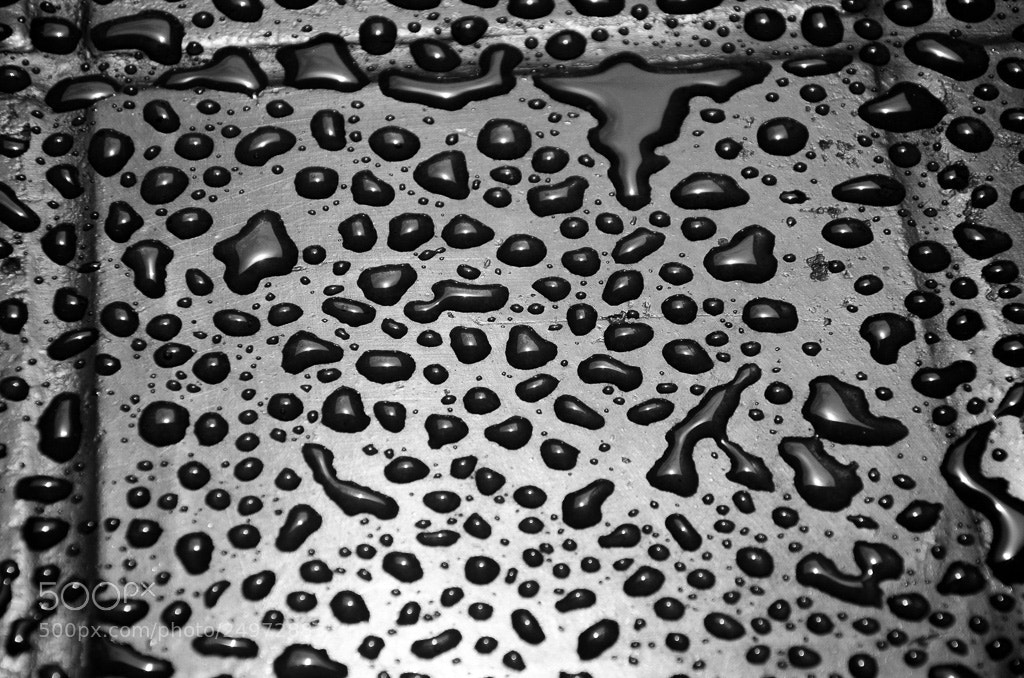 Nikon D7000 sample photo. Caution: slippery when wet photography