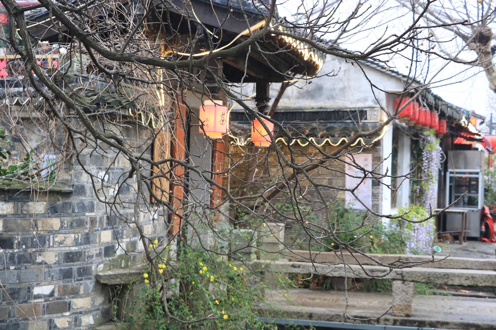 Canon EOS 750D (EOS Rebel T6i / EOS Kiss X8i) sample photo