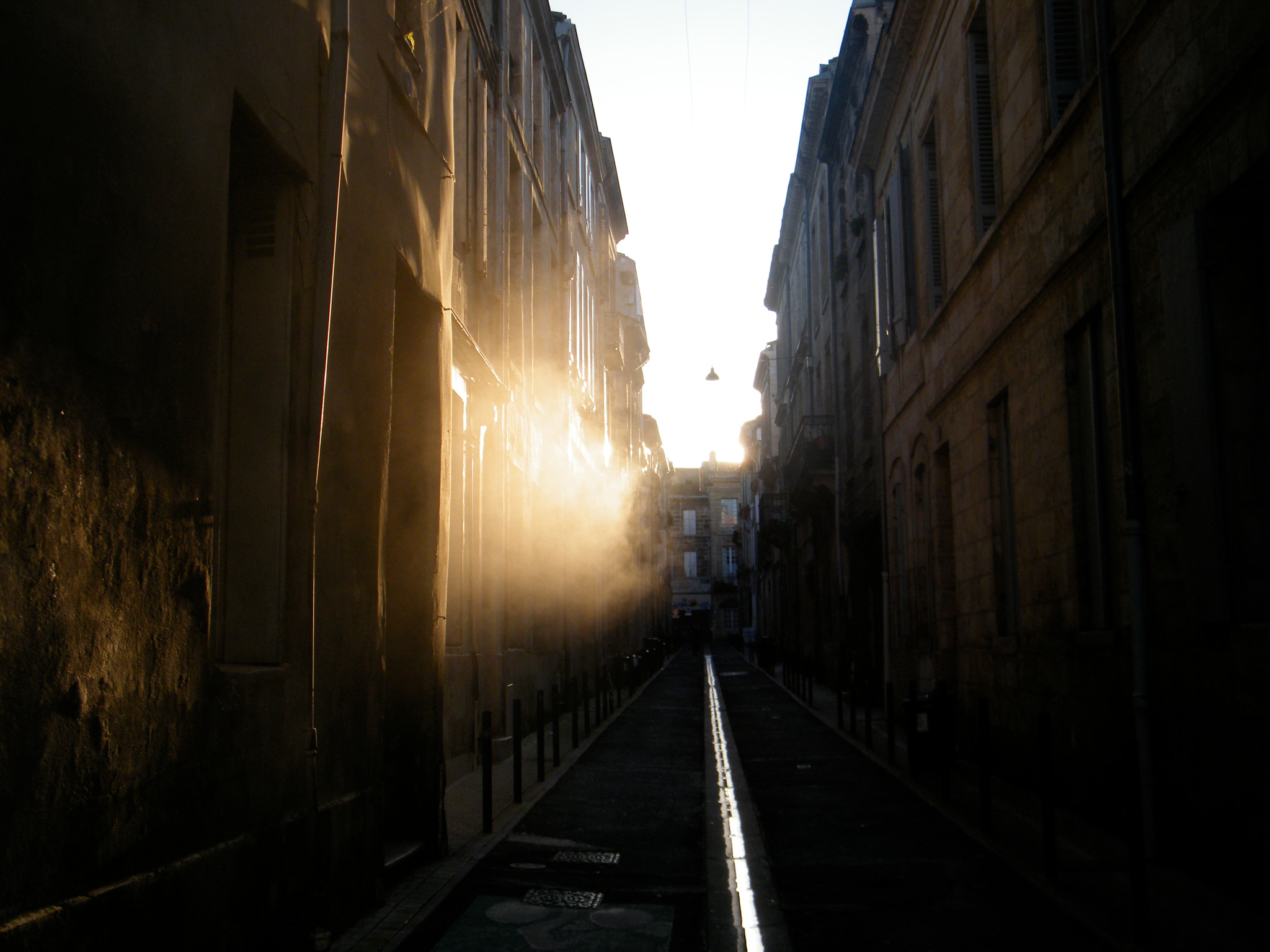 Fujifilm FinePix S2000HD sample photo. Soleil filtré photography