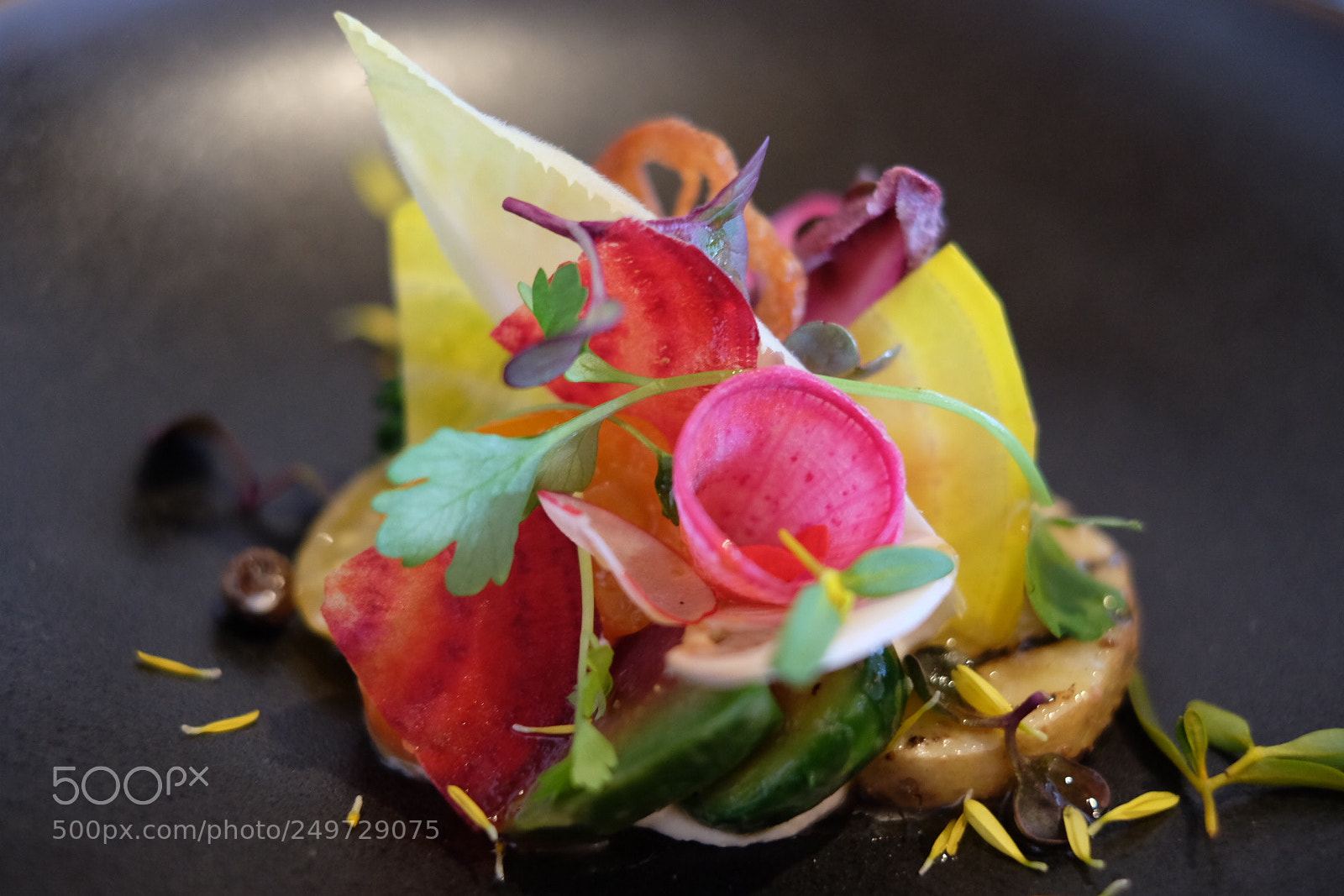Fujifilm X-T1 sample photo. Untitled photography