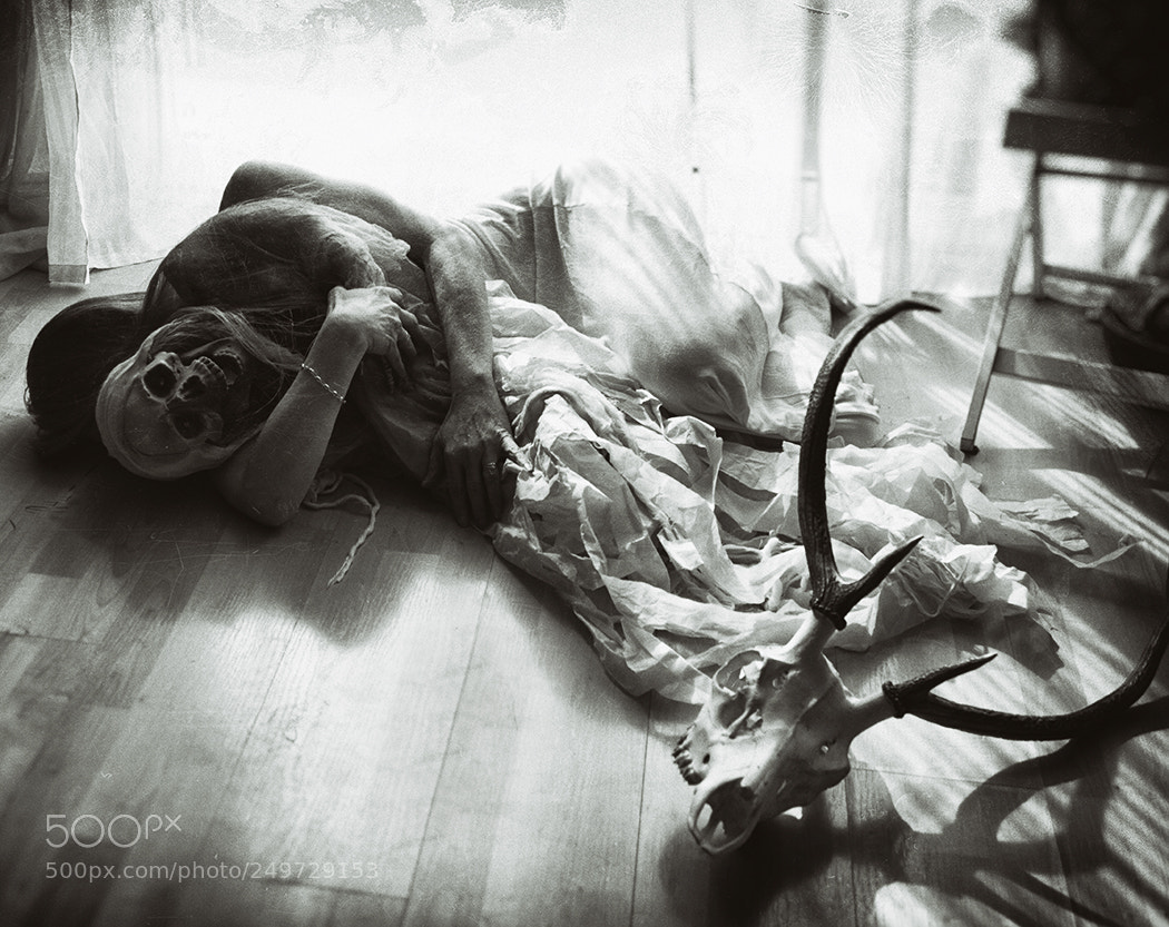 Canon EOS 600D (Rebel EOS T3i / EOS Kiss X5) sample photo. Caress every hurt photography