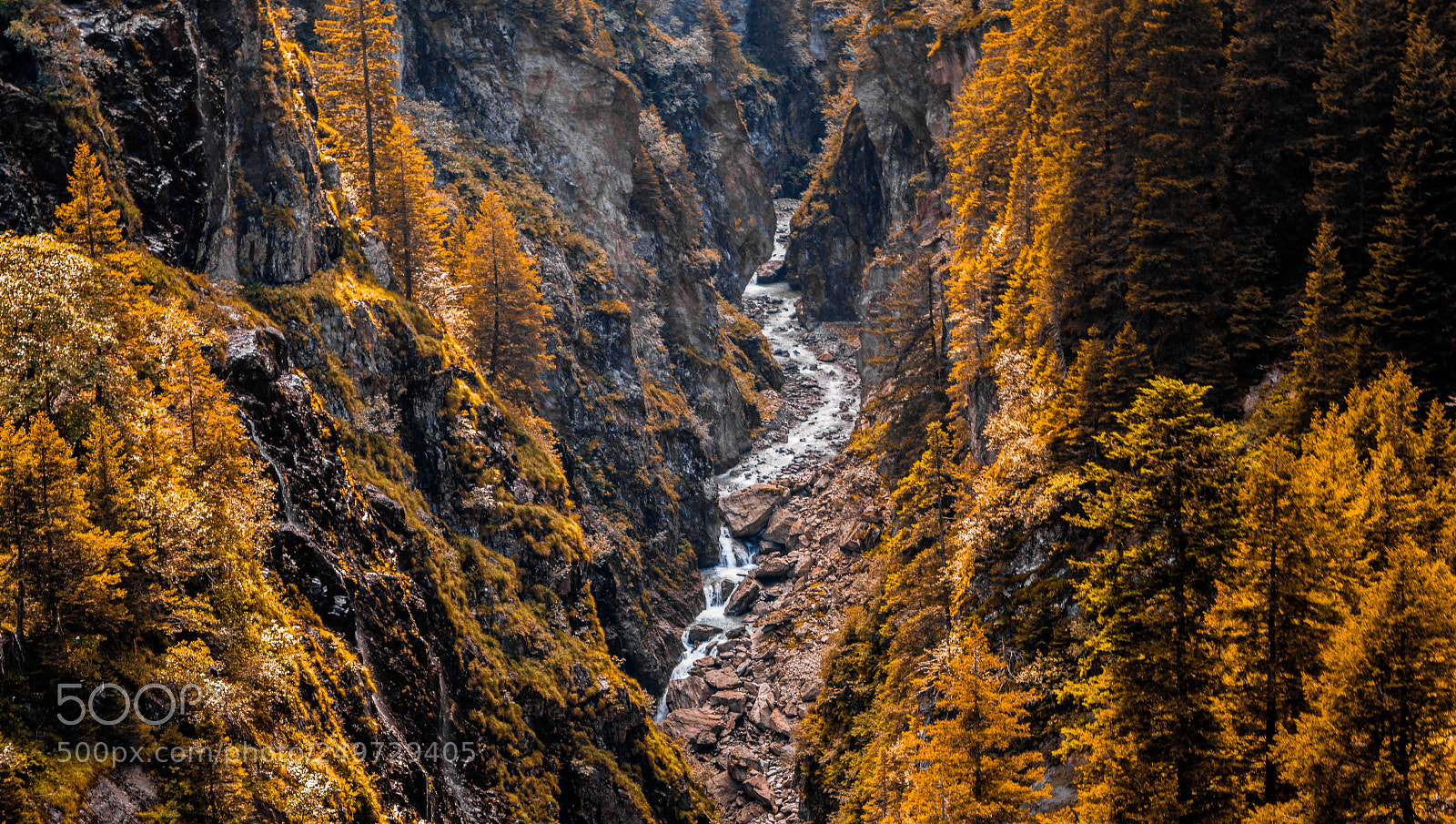 Nikon D5200 sample photo. Autmn river in the photography