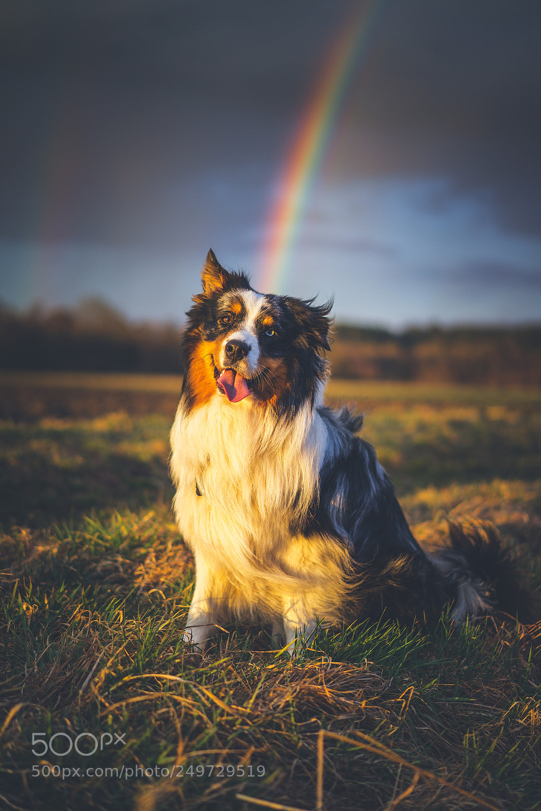 Sony a7 II sample photo. Pot of gold photography