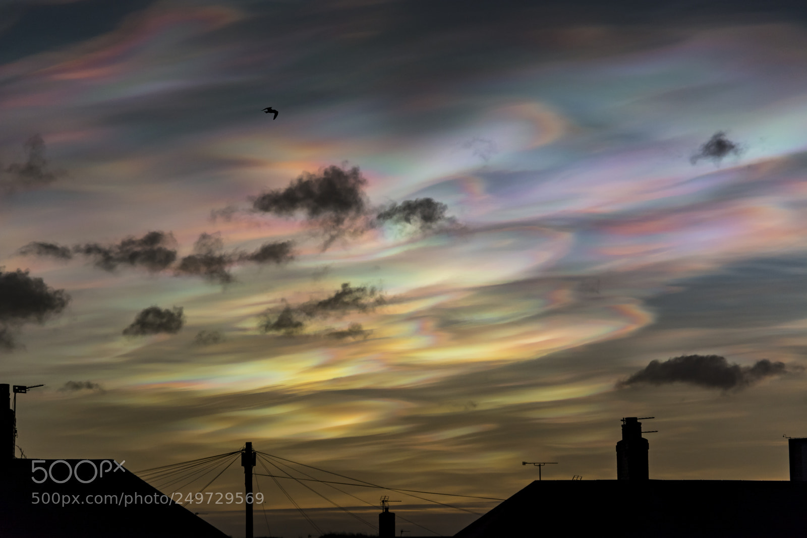 Nikon D7100 sample photo. Circumhorizon arc photography