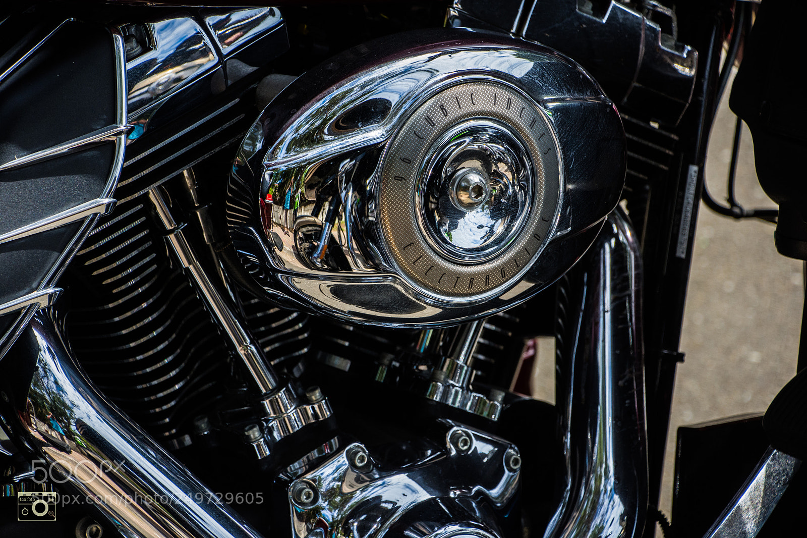 Nikon D7200 sample photo. Show me the money photography