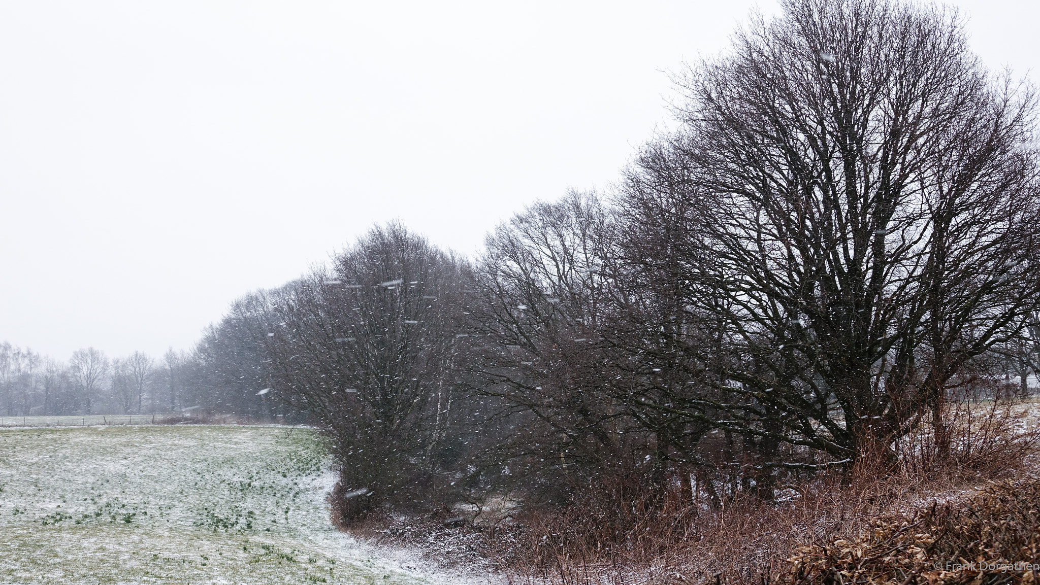 Sony Cyber-shot DSC-RX10 II sample photo. Still winter photography