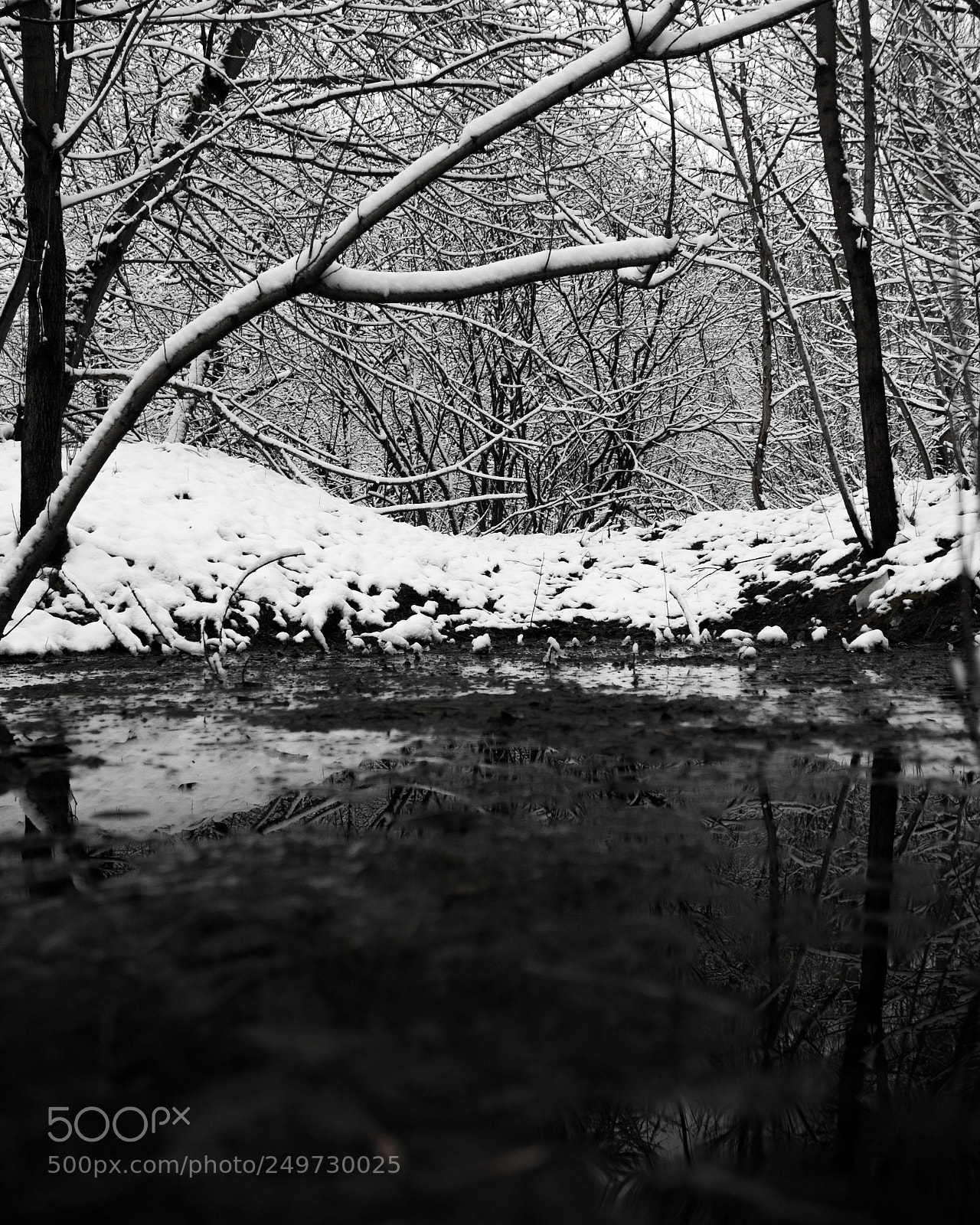 Nikon D50 sample photo. Pond photography