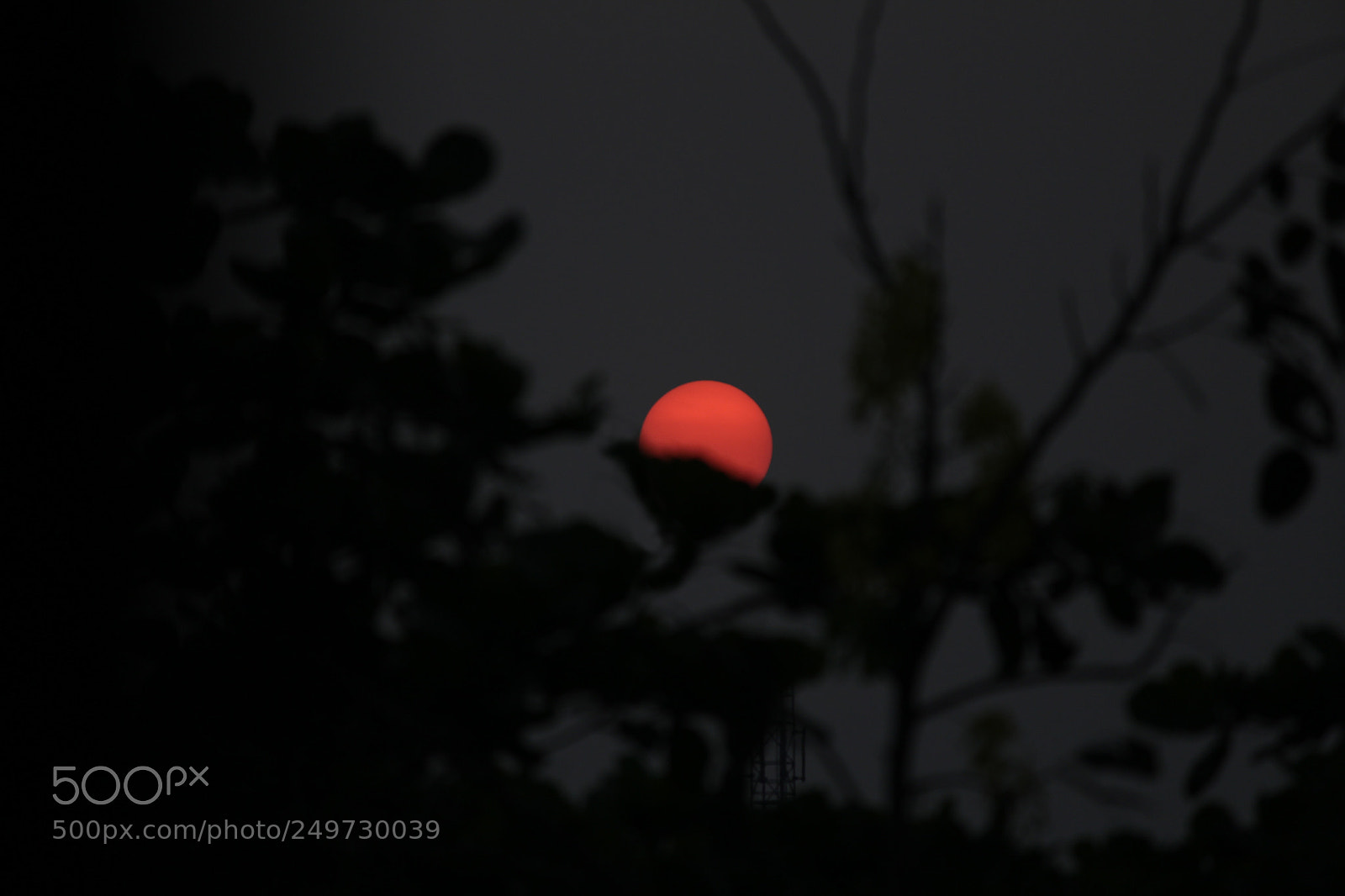 Canon EOS 1200D (EOS Rebel T5 / EOS Kiss X70 / EOS Hi) sample photo. Sunset photography