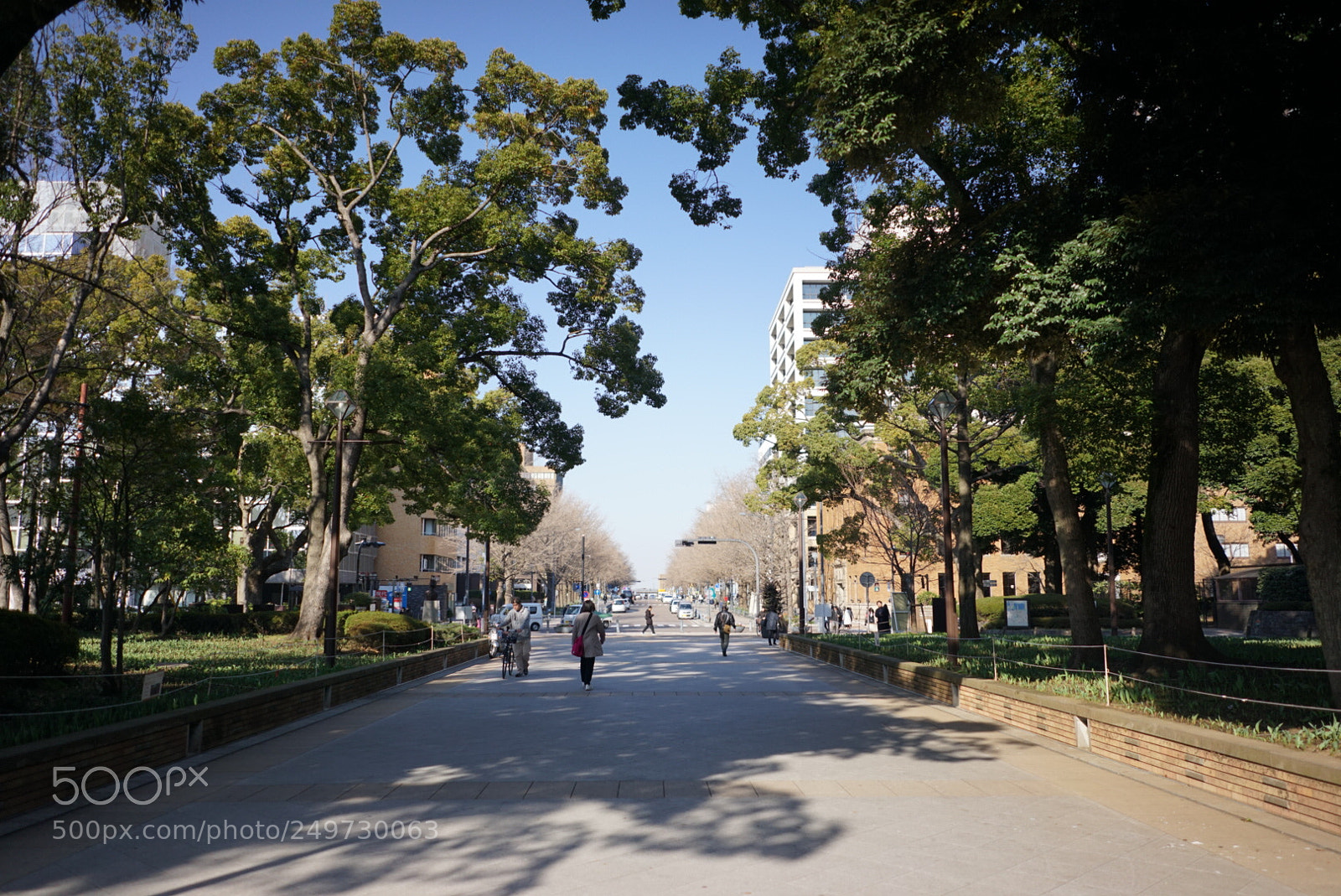 Sony a7R sample photo. Towards the sea photography