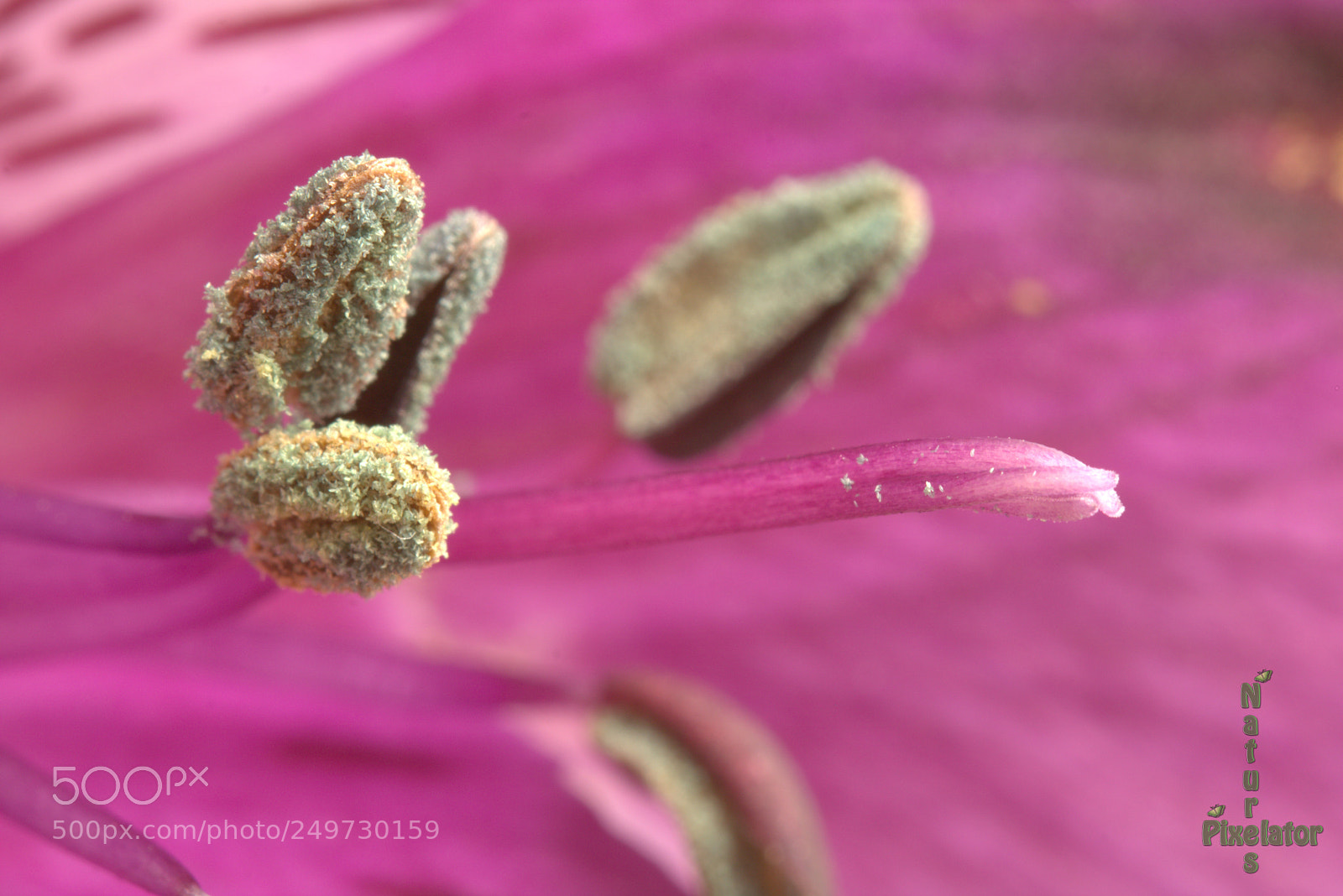 Canon EOS 750D (EOS Rebel T6i / EOS Kiss X8i) sample photo. Fingers crossed ? photography