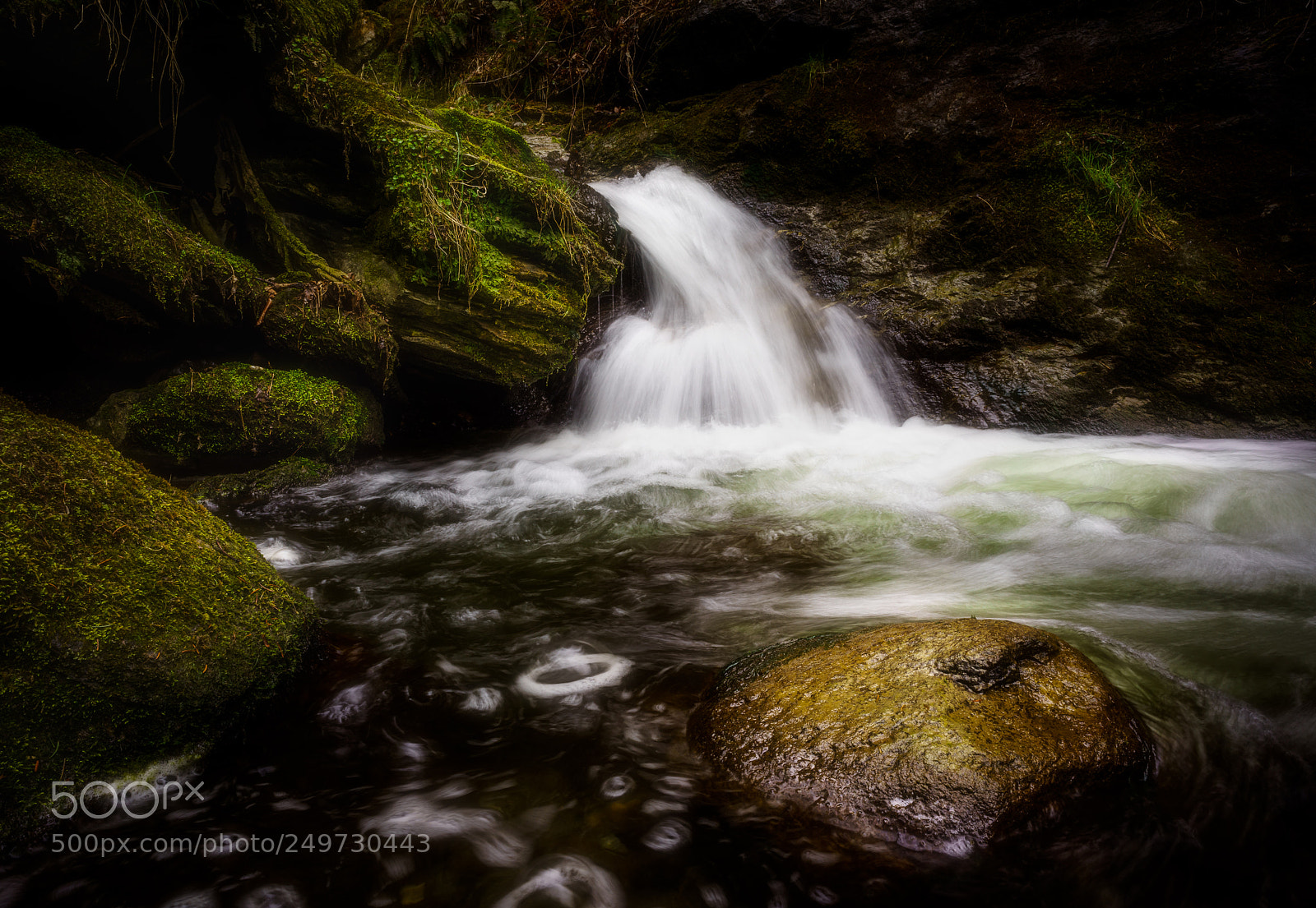 Sony a7R sample photo. Sillschlucht photography