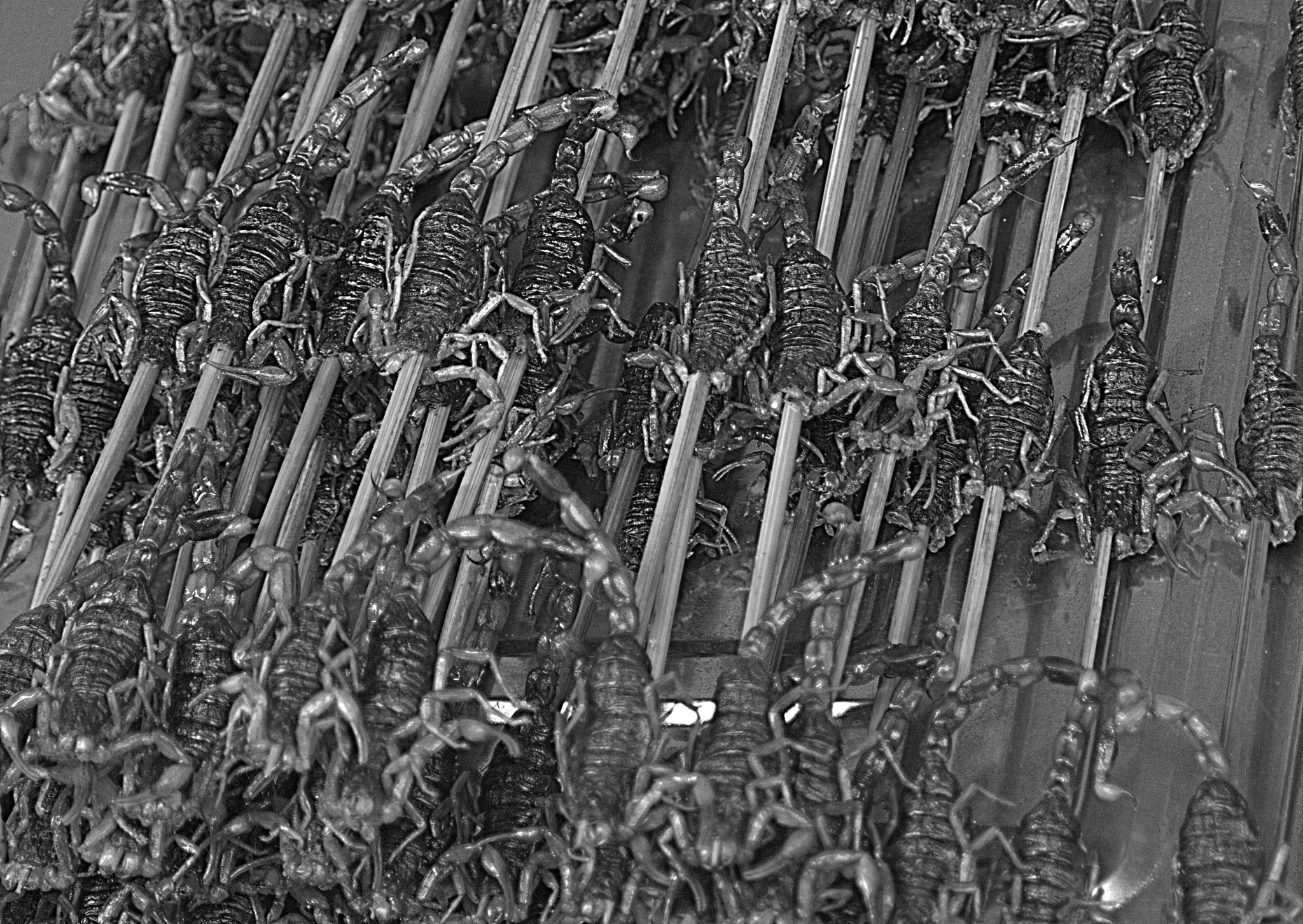 Sigma 18-250mm F3.5-6.3 DC OS HSM sample photo. Scorpion skewer. photography