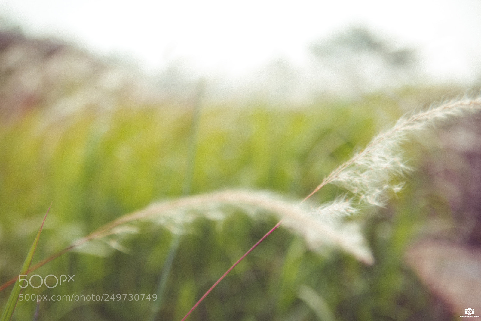 Nikon D3400 sample photo. _dsc0028-3.jpg photography