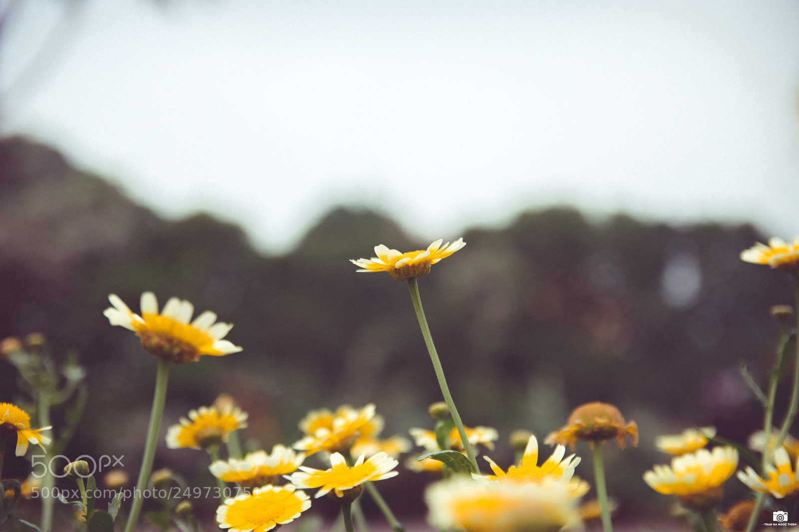 Nikon D3400 sample photo. Untitled photography