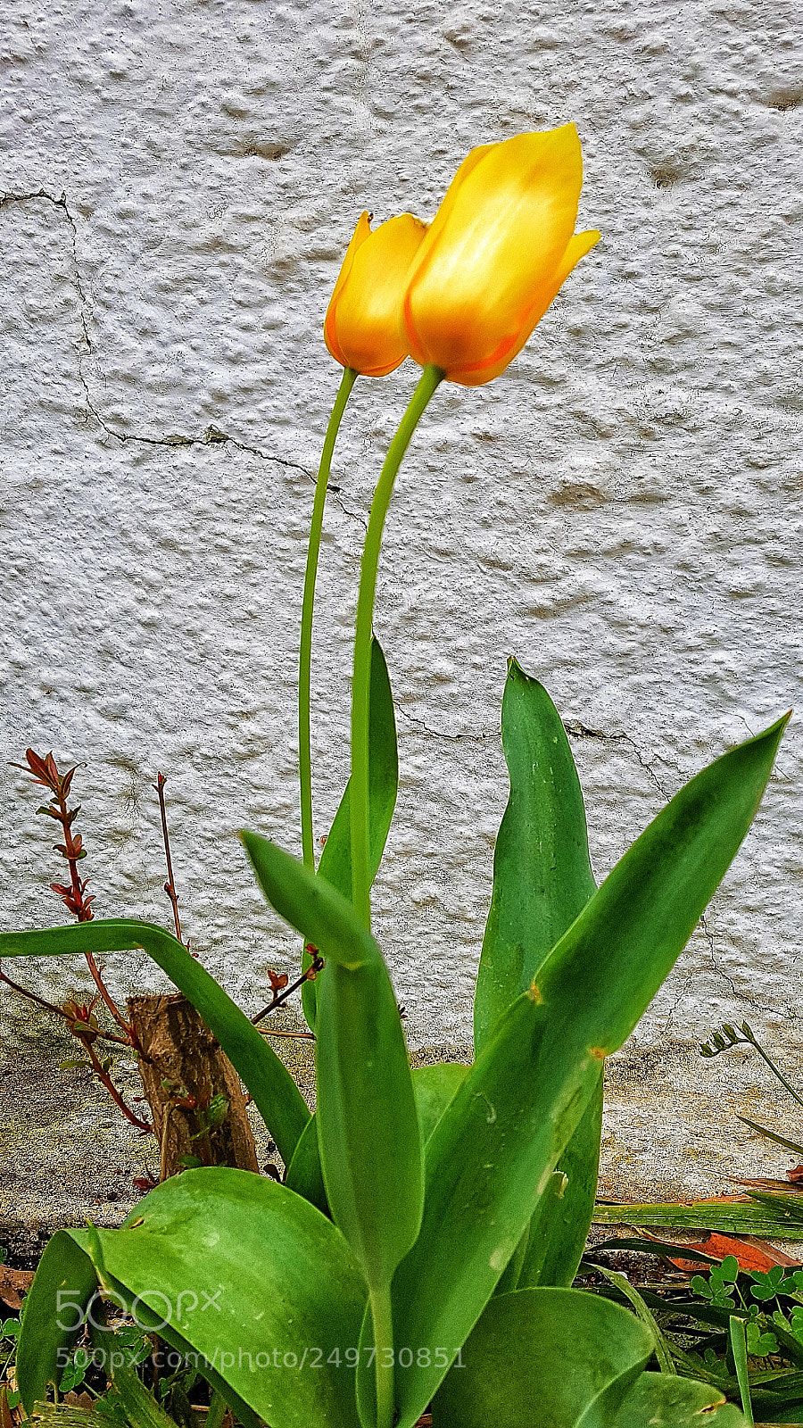 Samsung Galaxy S7 Edge sample photo. Untitled photography