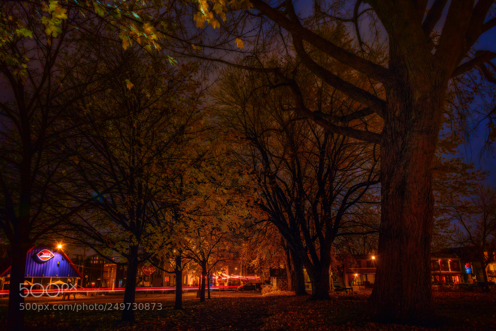 Canon EOS 70D sample photo. Midnight run photography