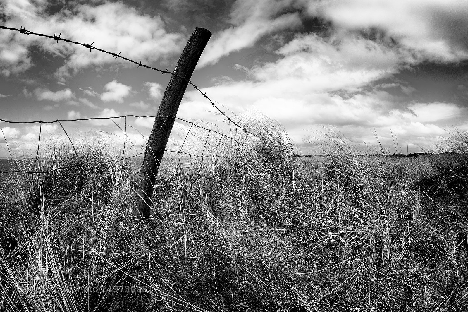 Fujifilm X-Pro1 sample photo. Barbed wire photography