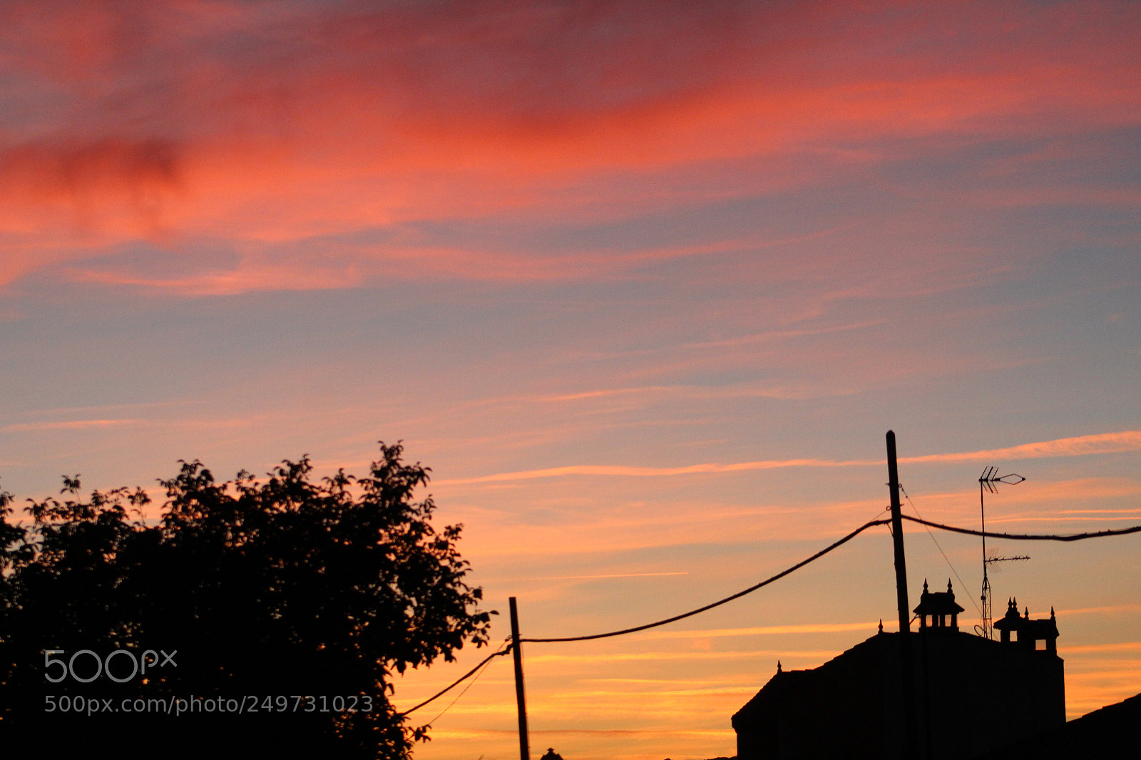 Canon EF 75-300mm f/4-5.6 sample photo. Untitled photography
