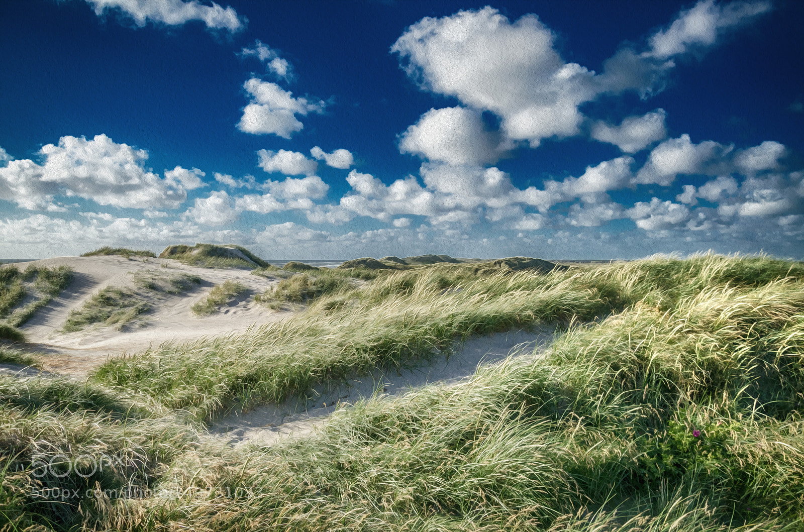Nikon D7000 sample photo. Dünenland photography