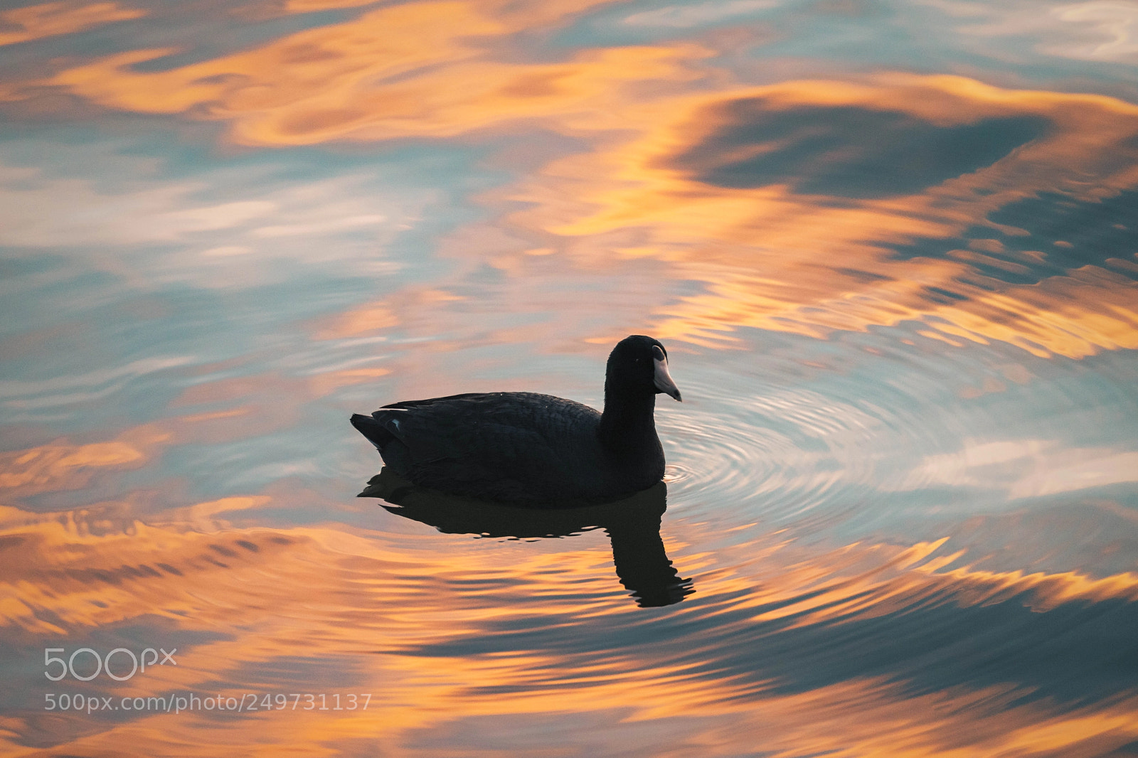 Sony a7 II sample photo. Adrift in a sea photography