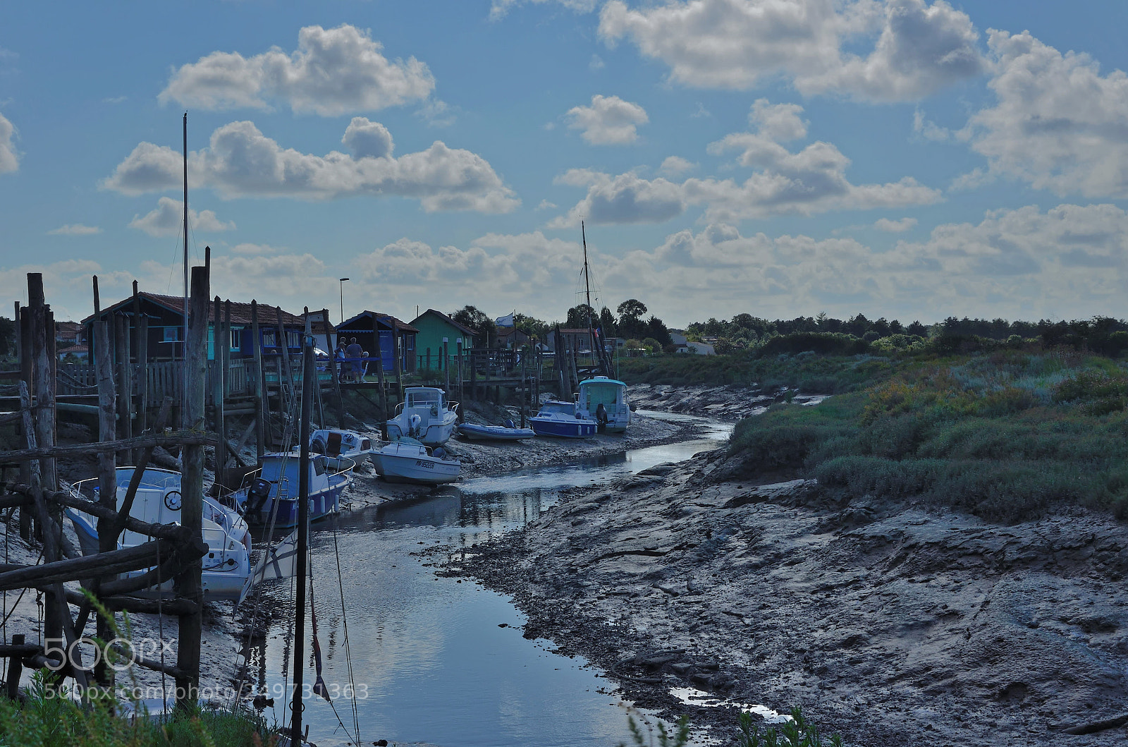 Nikon D5100 sample photo. Mornac sur seudre le photography