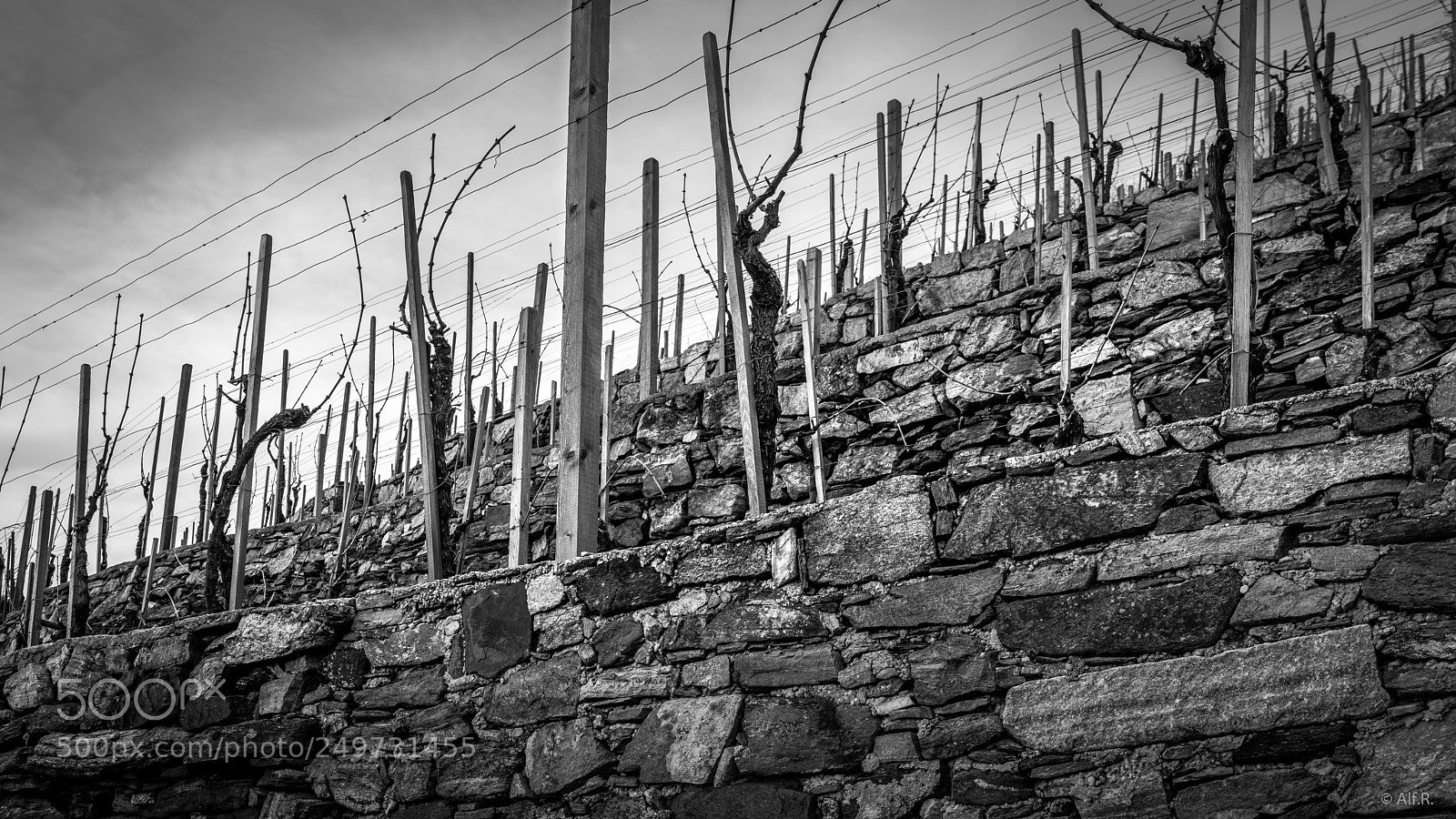 Sony a7R II sample photo. This is the wachau photography