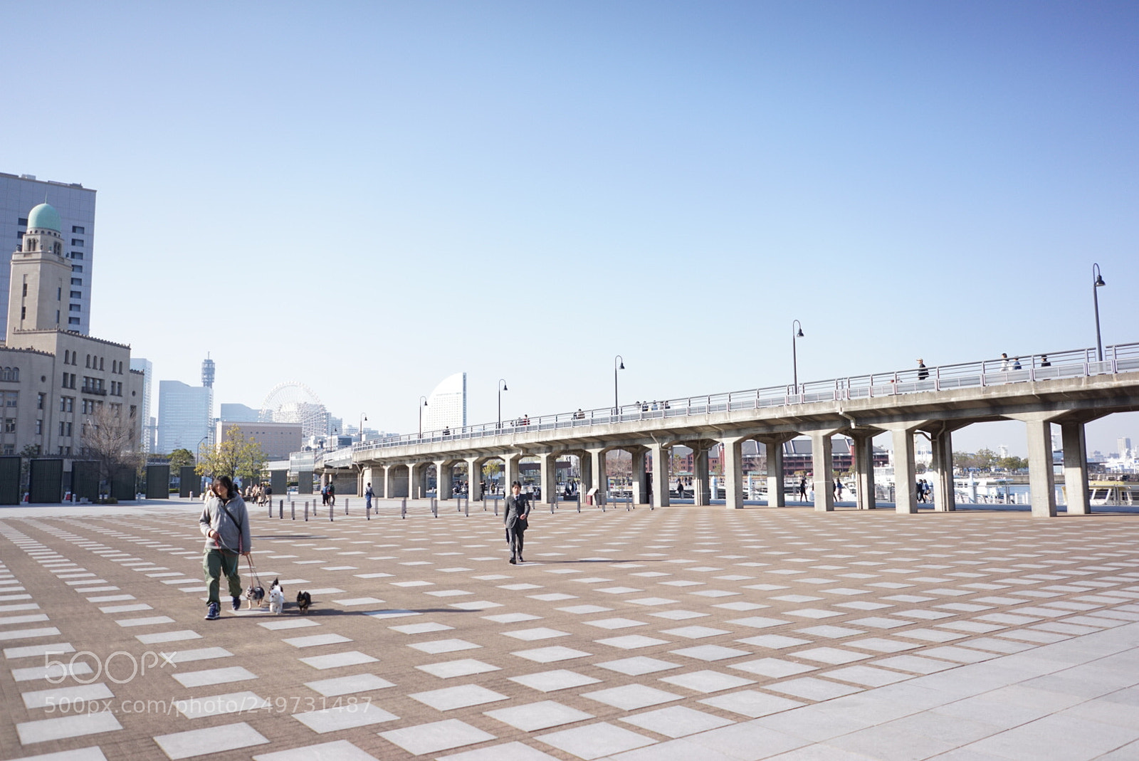 Sony a7R sample photo. Yamashita rinkoline promenade photography