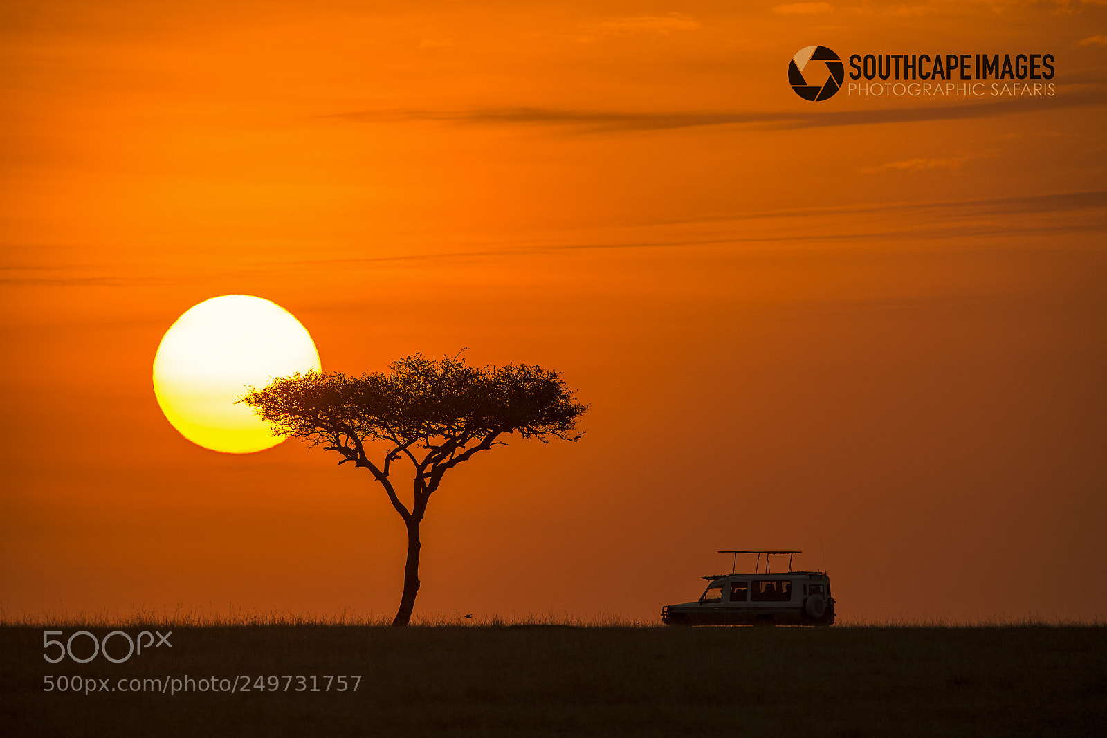 Canon EOS-1D X sample photo. Safari sunrise photography