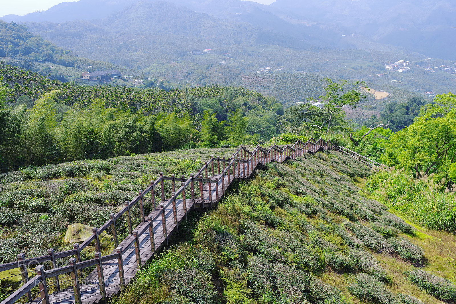 Pentax K-1 sample photo. The view from my photography