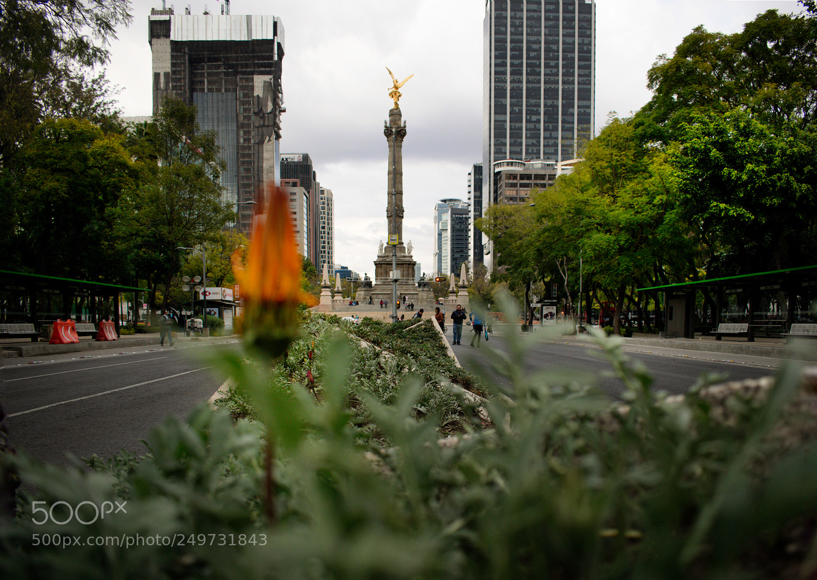 Nikon D3300 sample photo. Angel de la independencia photography