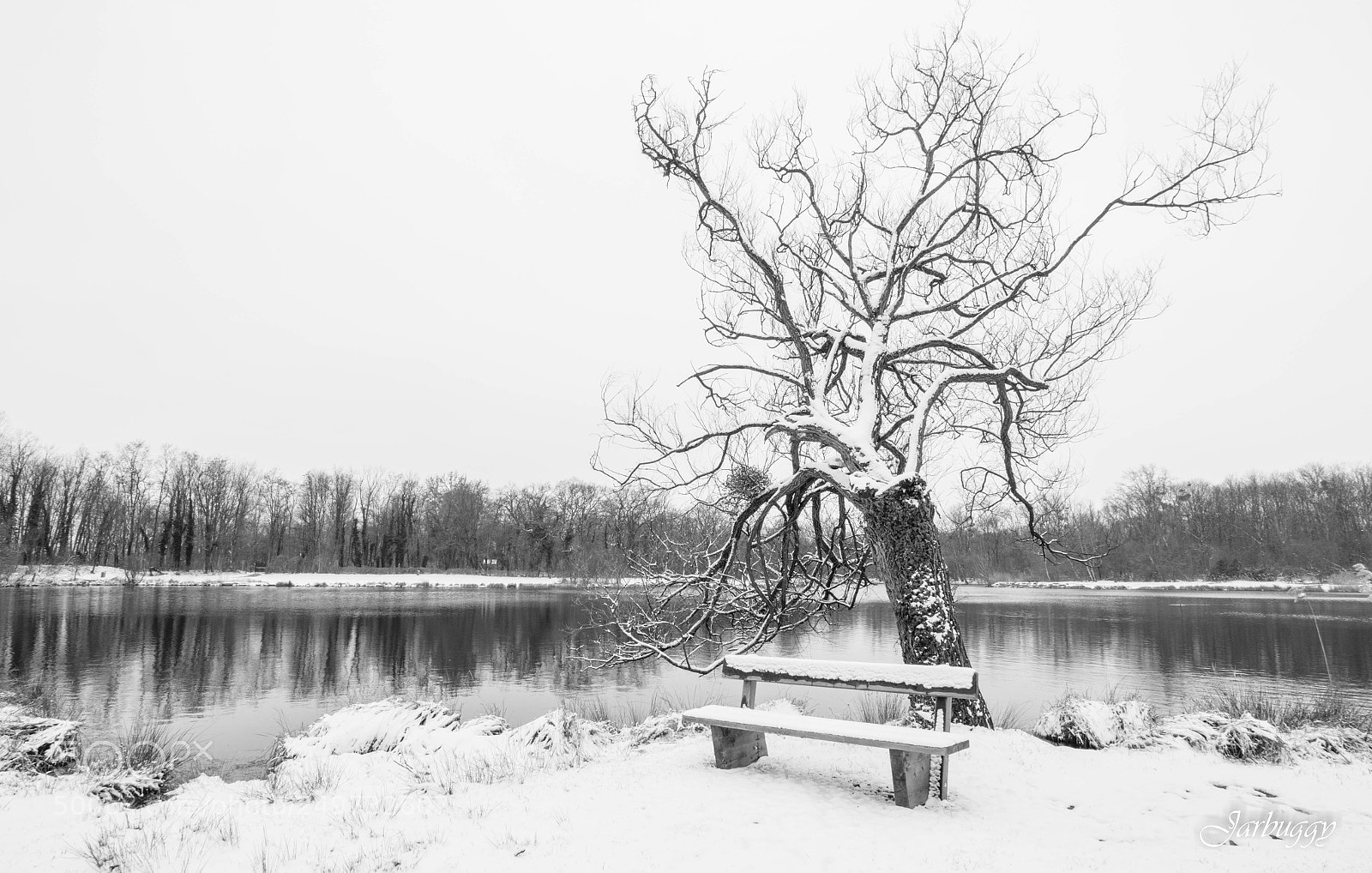 Nikon D7100 sample photo. Snowy day photography