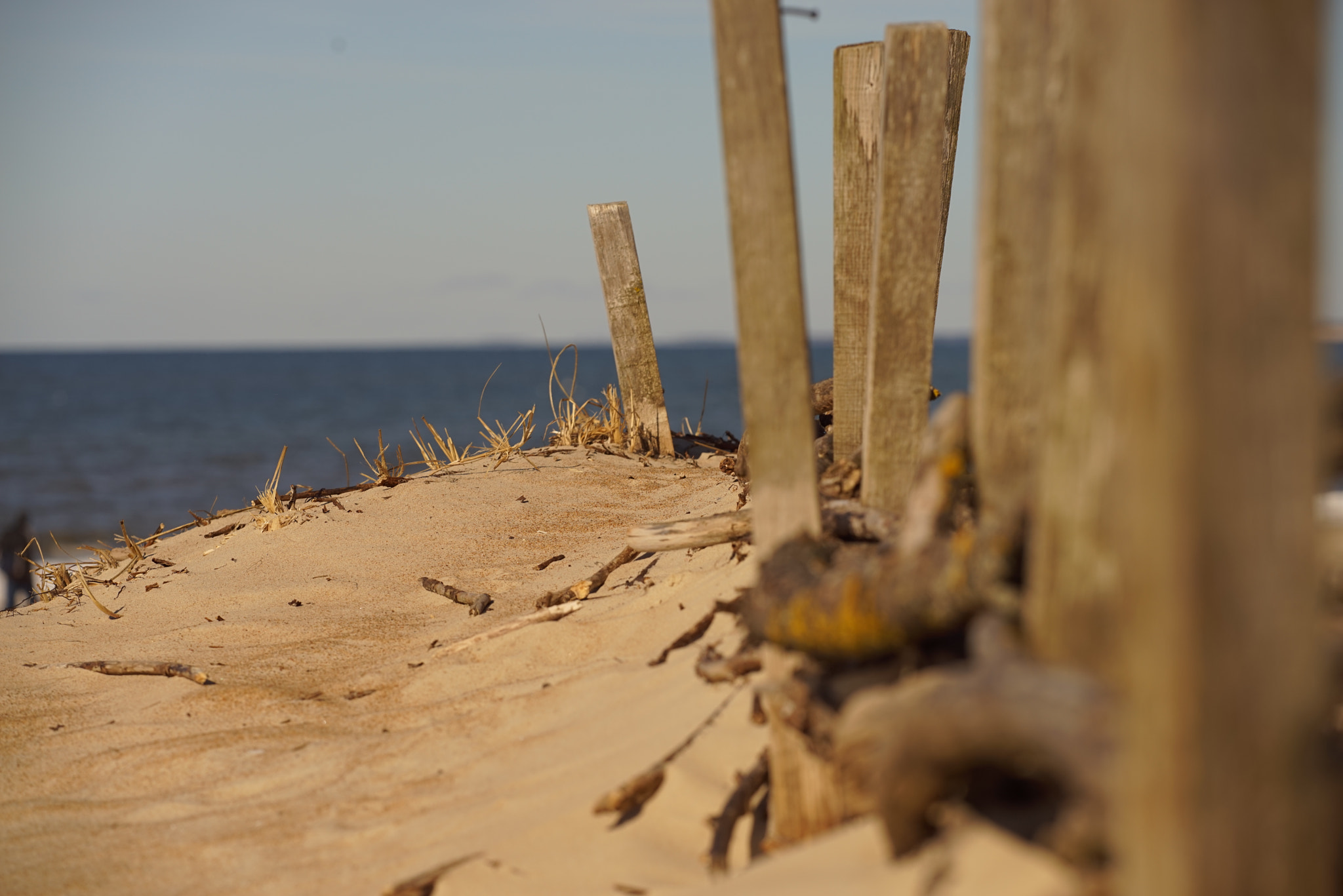 Sony a7R sample photo. Dsc photography