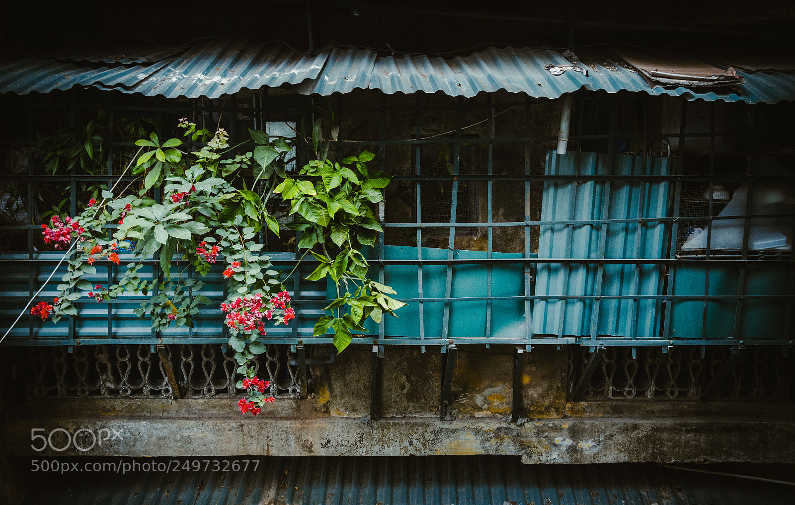 Nikon D7000 sample photo. The opposite window photography